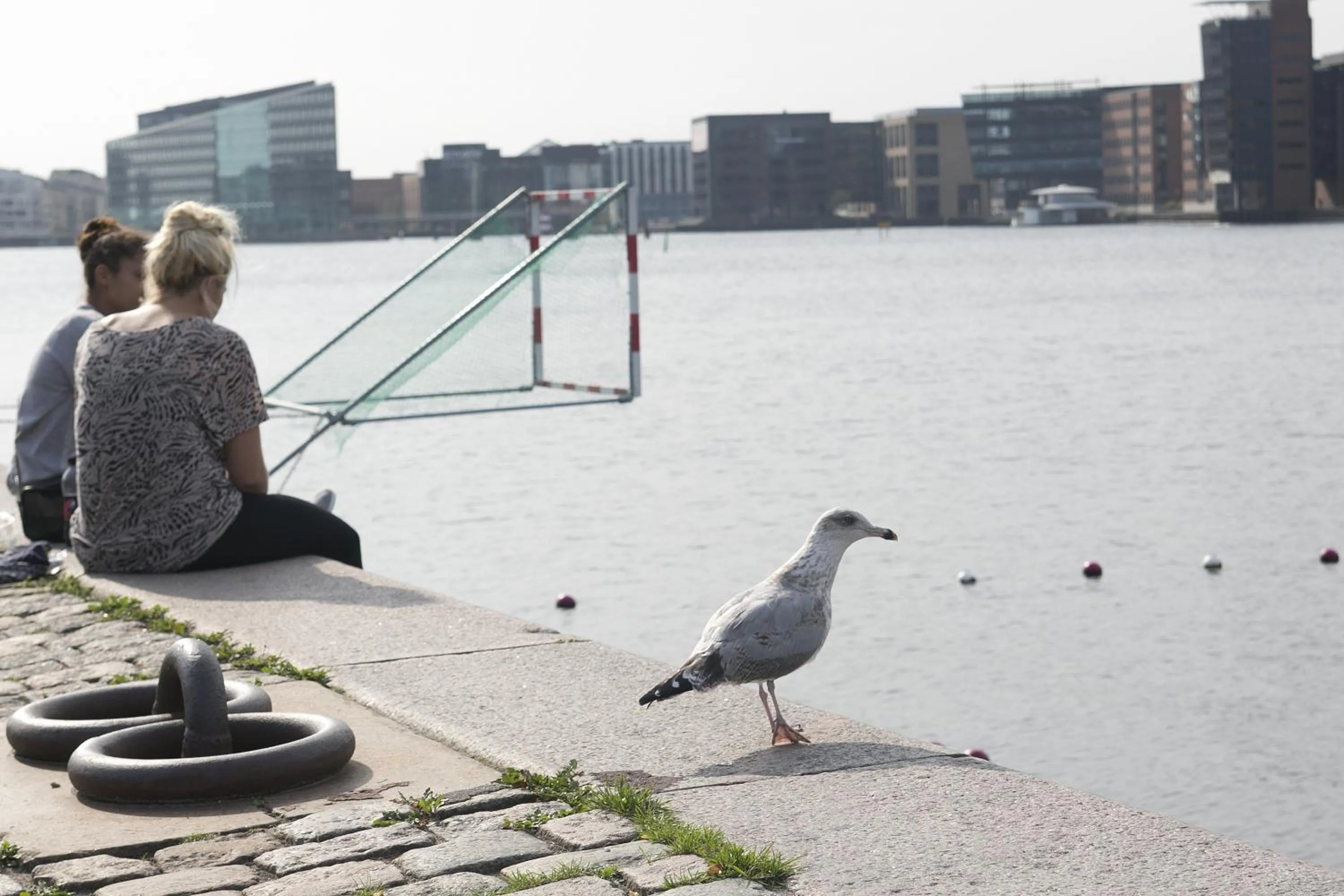 Area and facilities in Hotel Copenhagen