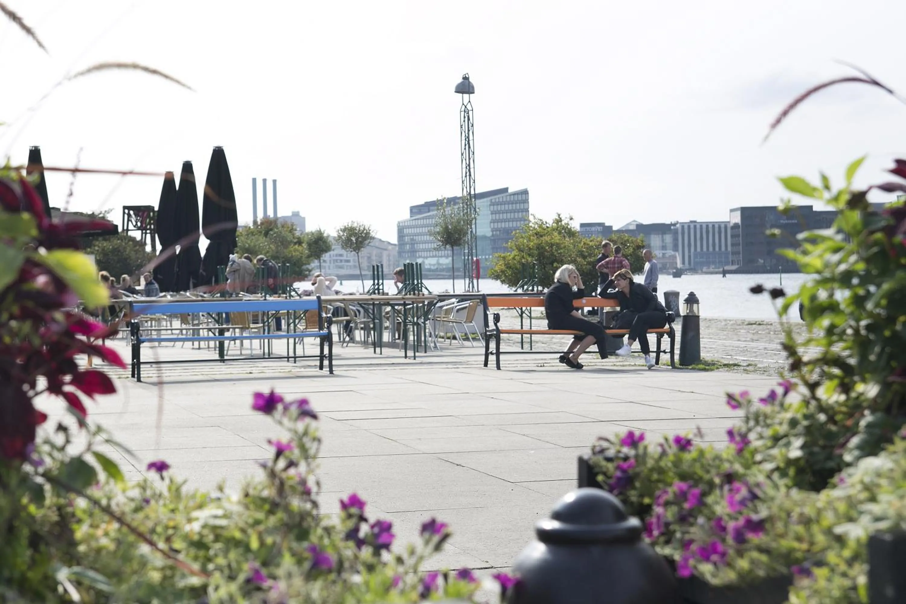 Area and facilities in Hotel Copenhagen