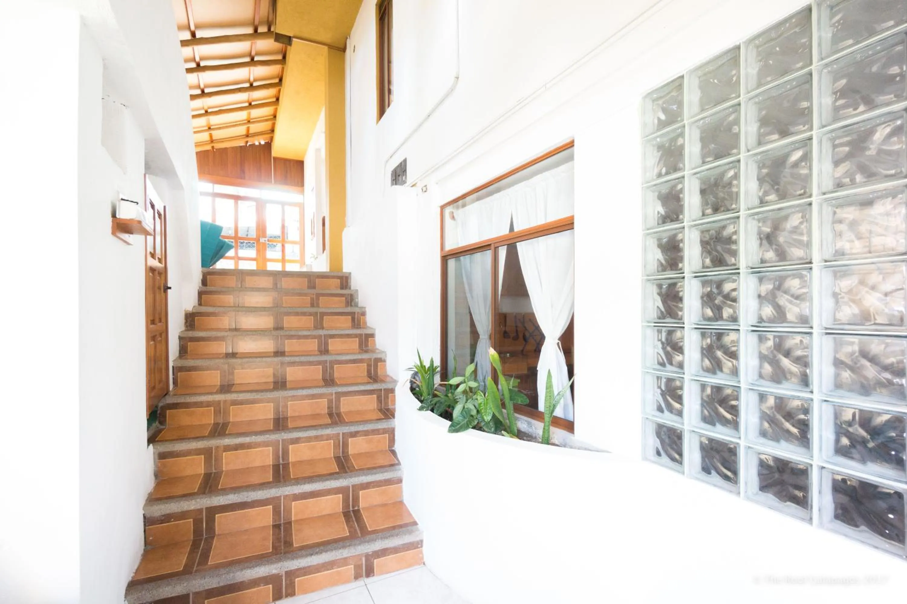 Other in Galapagos Verde Azul