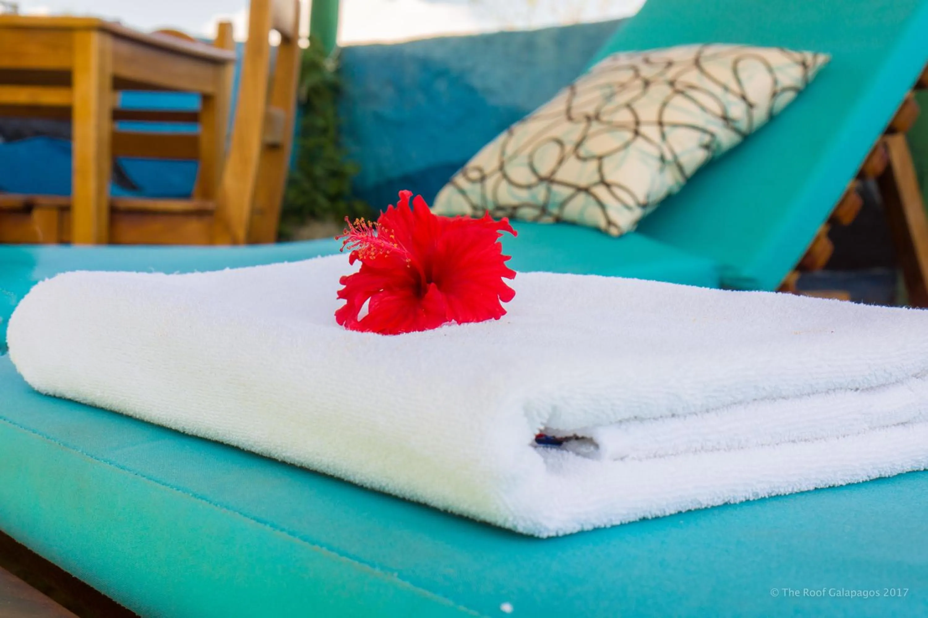 Solarium in Galapagos Verde Azul