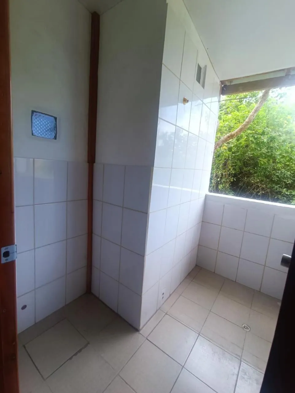 Galapagos Verde Azul