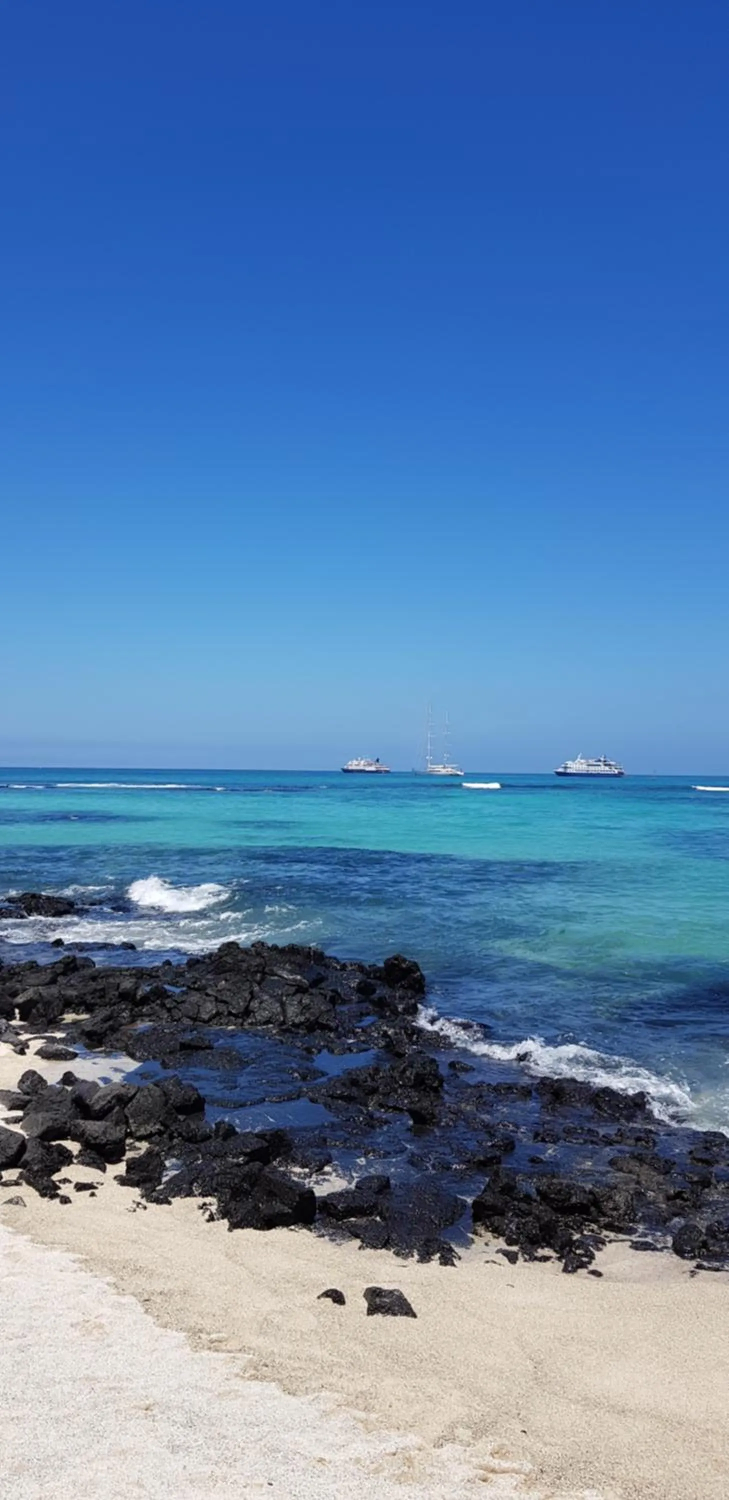 Galapagos Verde Azul