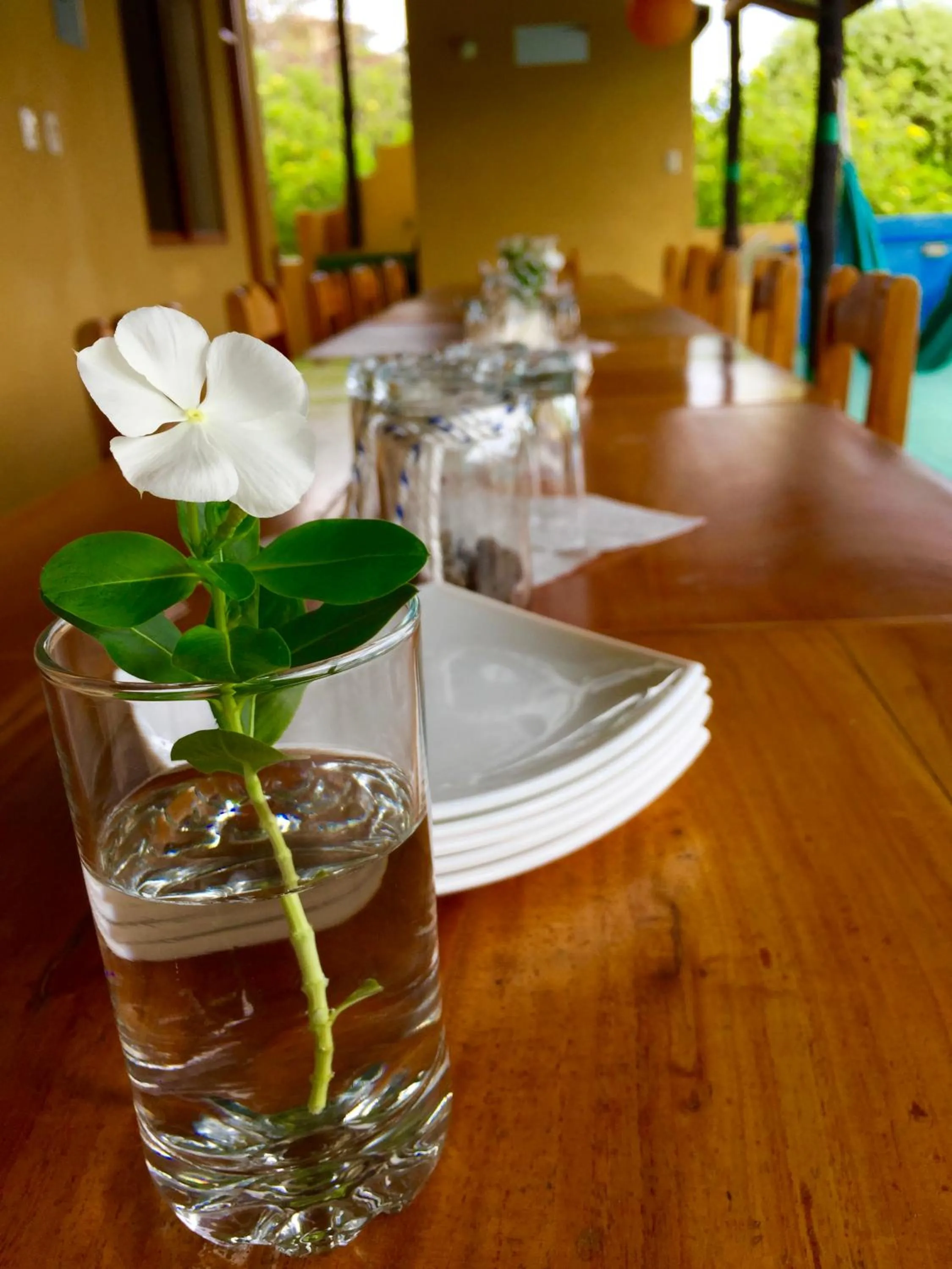 Continental breakfast in Galapagos Verde Azul