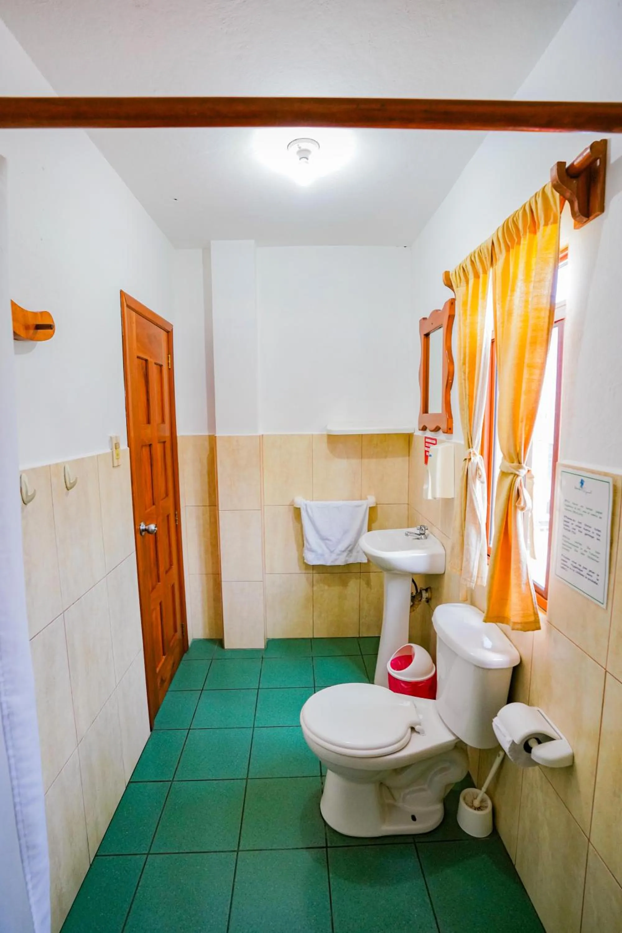 Galapagos Verde Azul