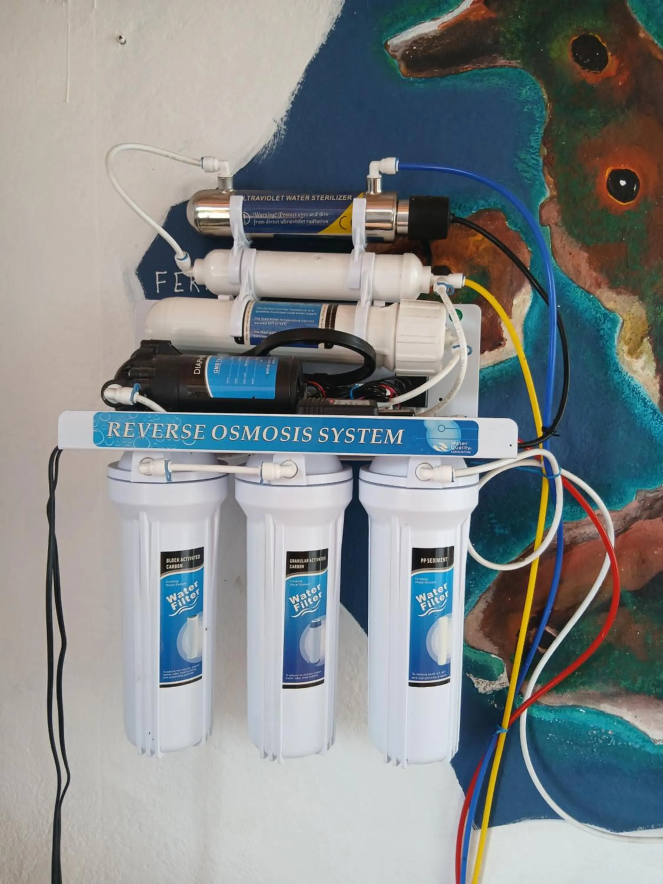 Galapagos Verde Azul