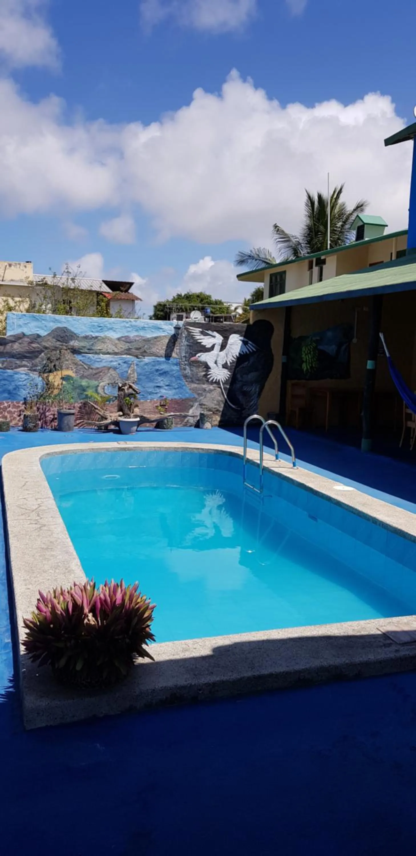 Swimming pool in Galapagos Verde Azul