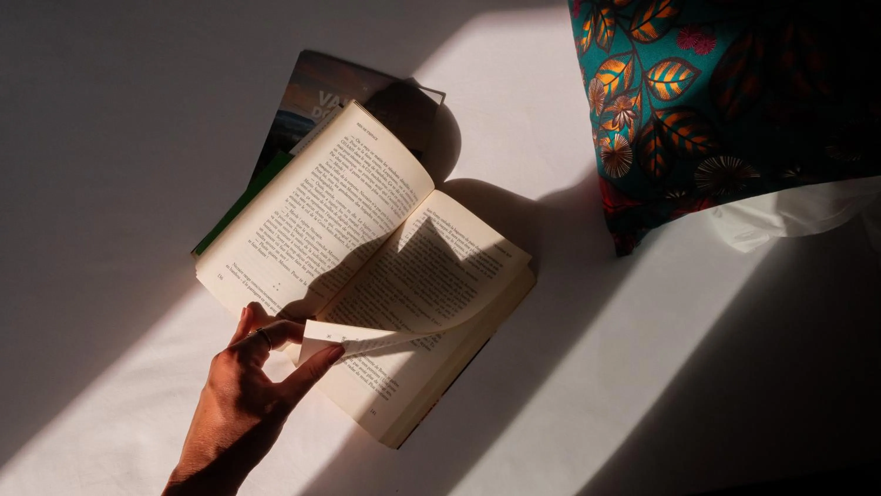 Other in Le Bois d'Imbert - Memory Collection