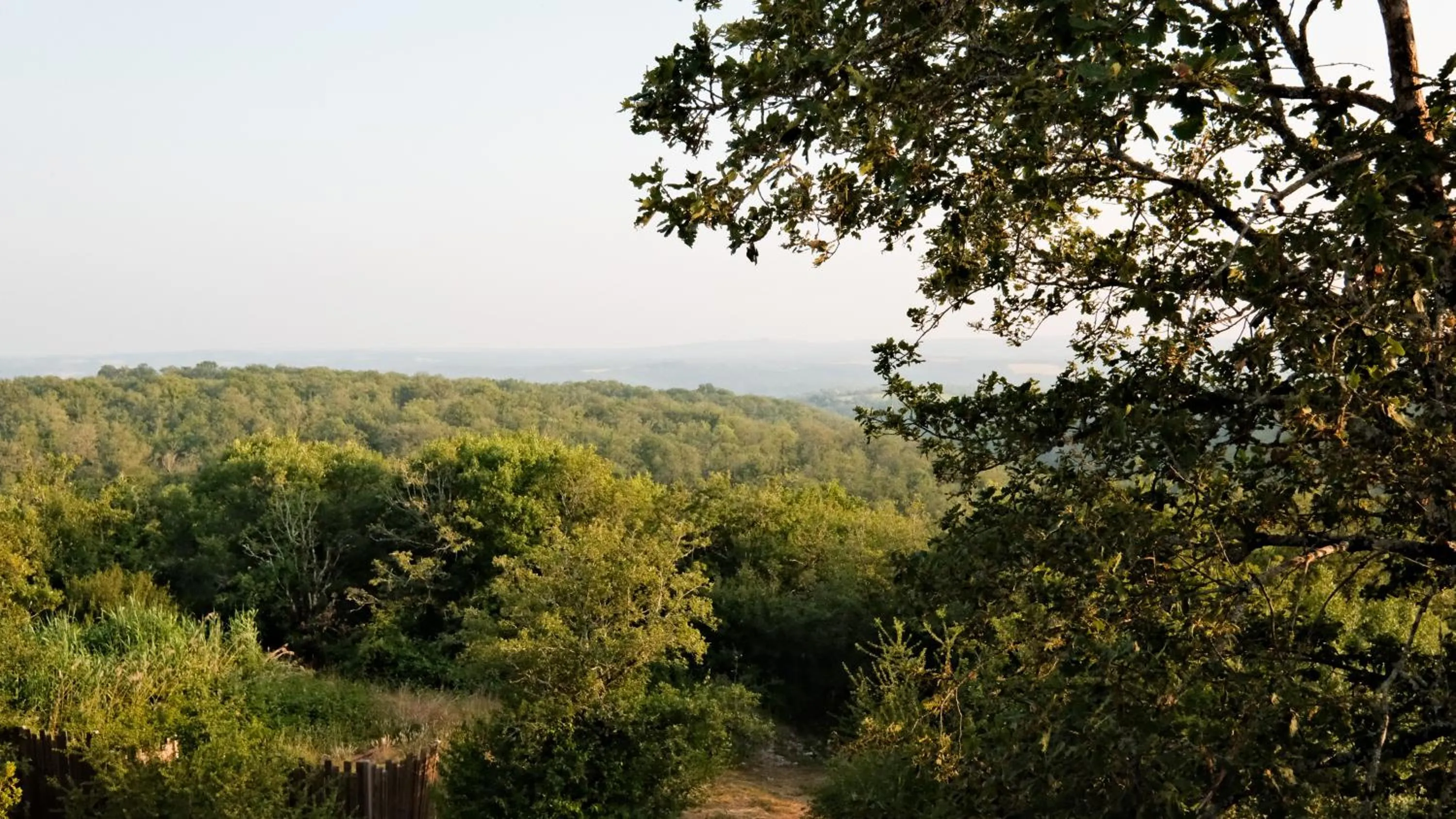 View (from property/room) in Le Bois d'Imbert - Memory Collection