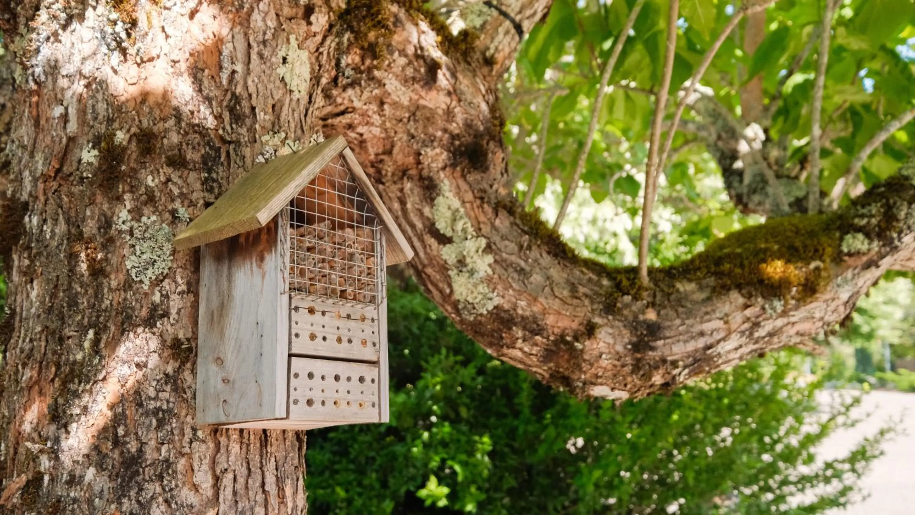Property building in Le Bois d'Imbert - Memory Collection