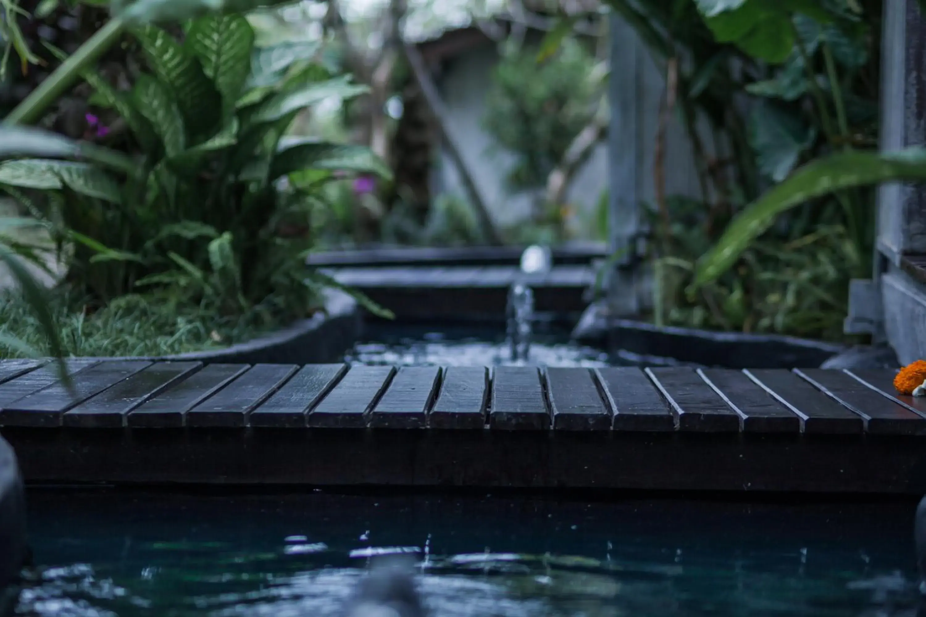 View (from property/room) in Green Taman Ubud by Prasi View (from property/room) in Green Taman Ubud by Prasi