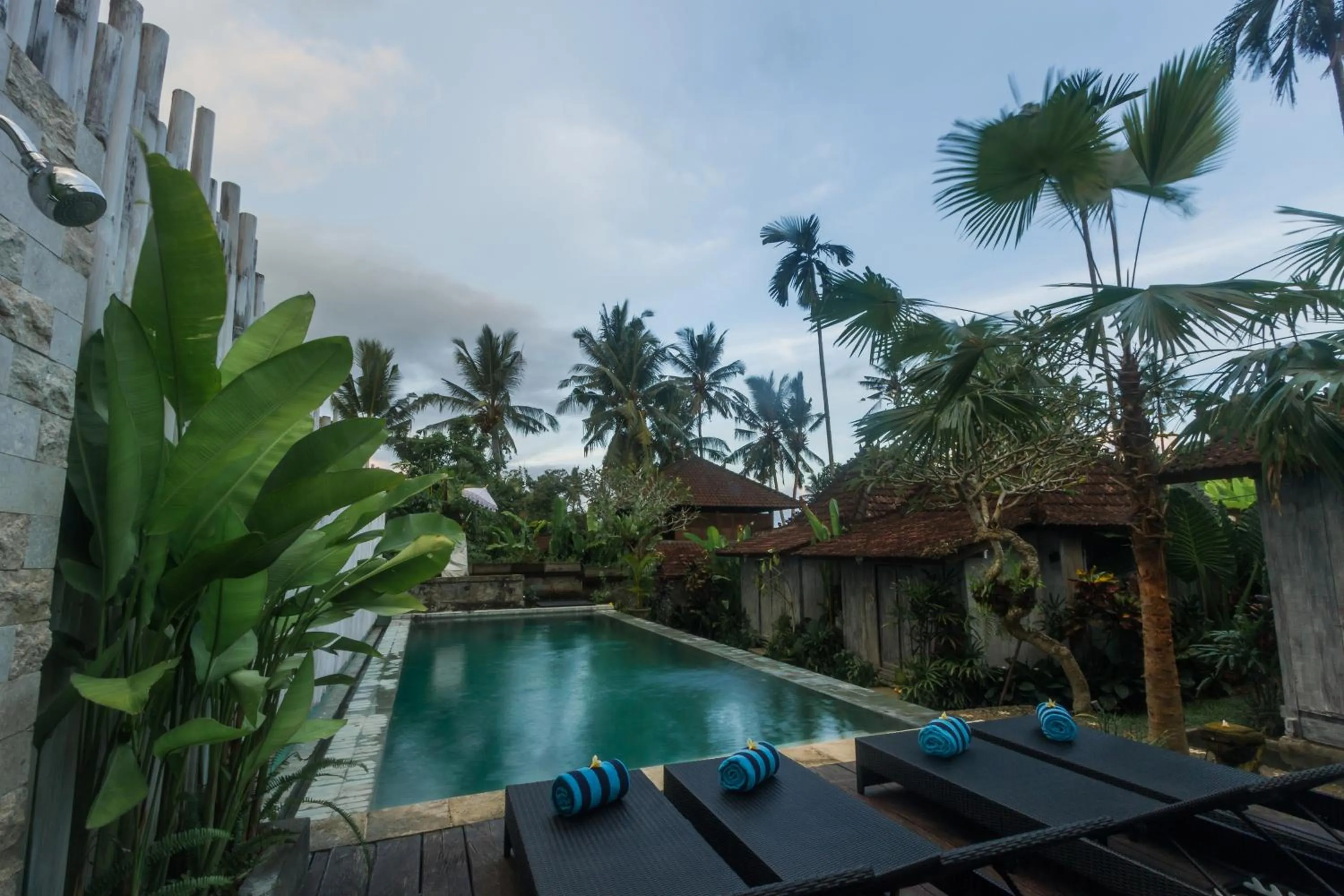 Swimming pool in Green Taman Ubud by Prasi