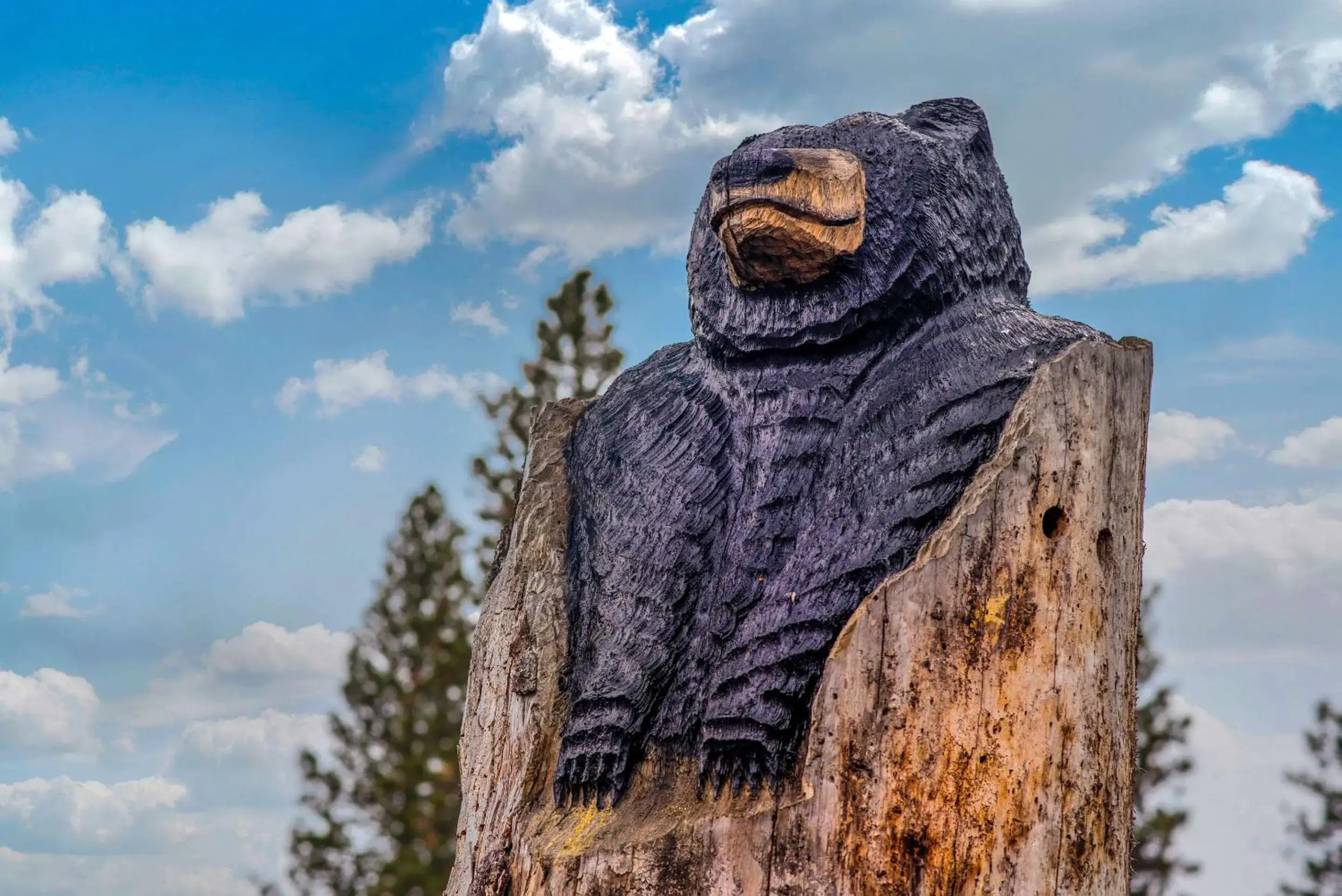 Property building in Comfort Inn Mount Shasta Area Property building in Comfort Inn Mount Shasta Area