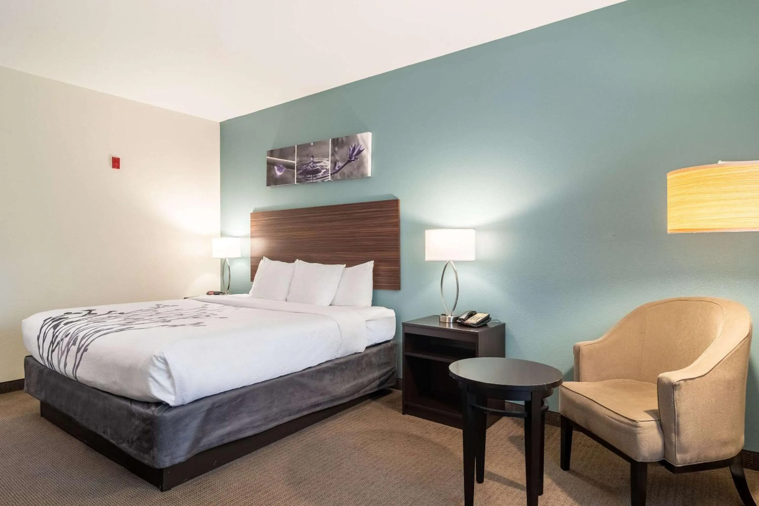 Photo of the whole room, Bed in Sleep Inn & Suites At Kennesaw State University