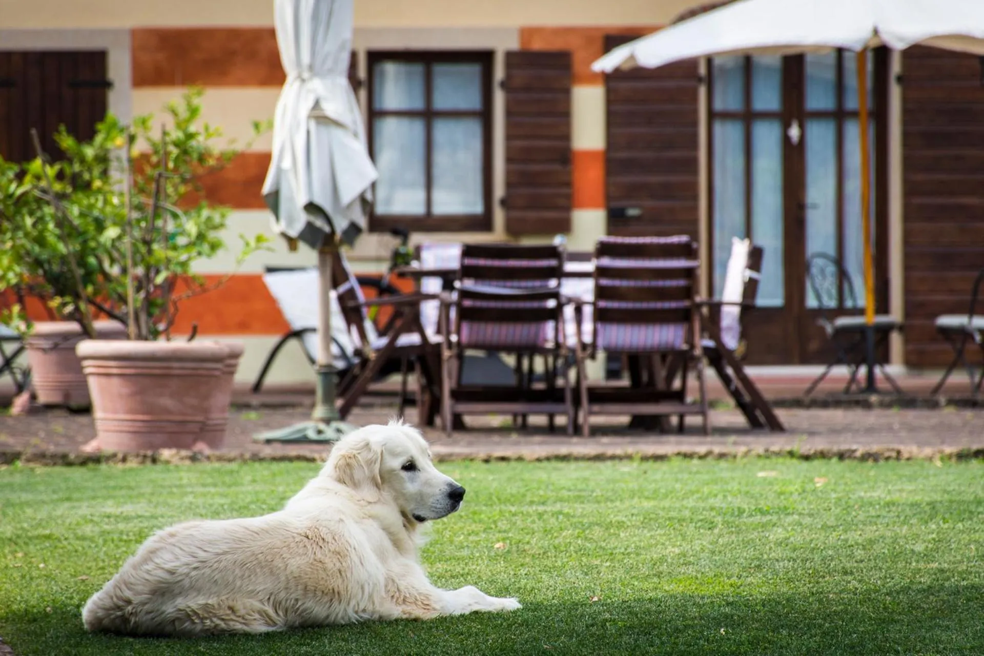 Property building in Musella Winery & Relais