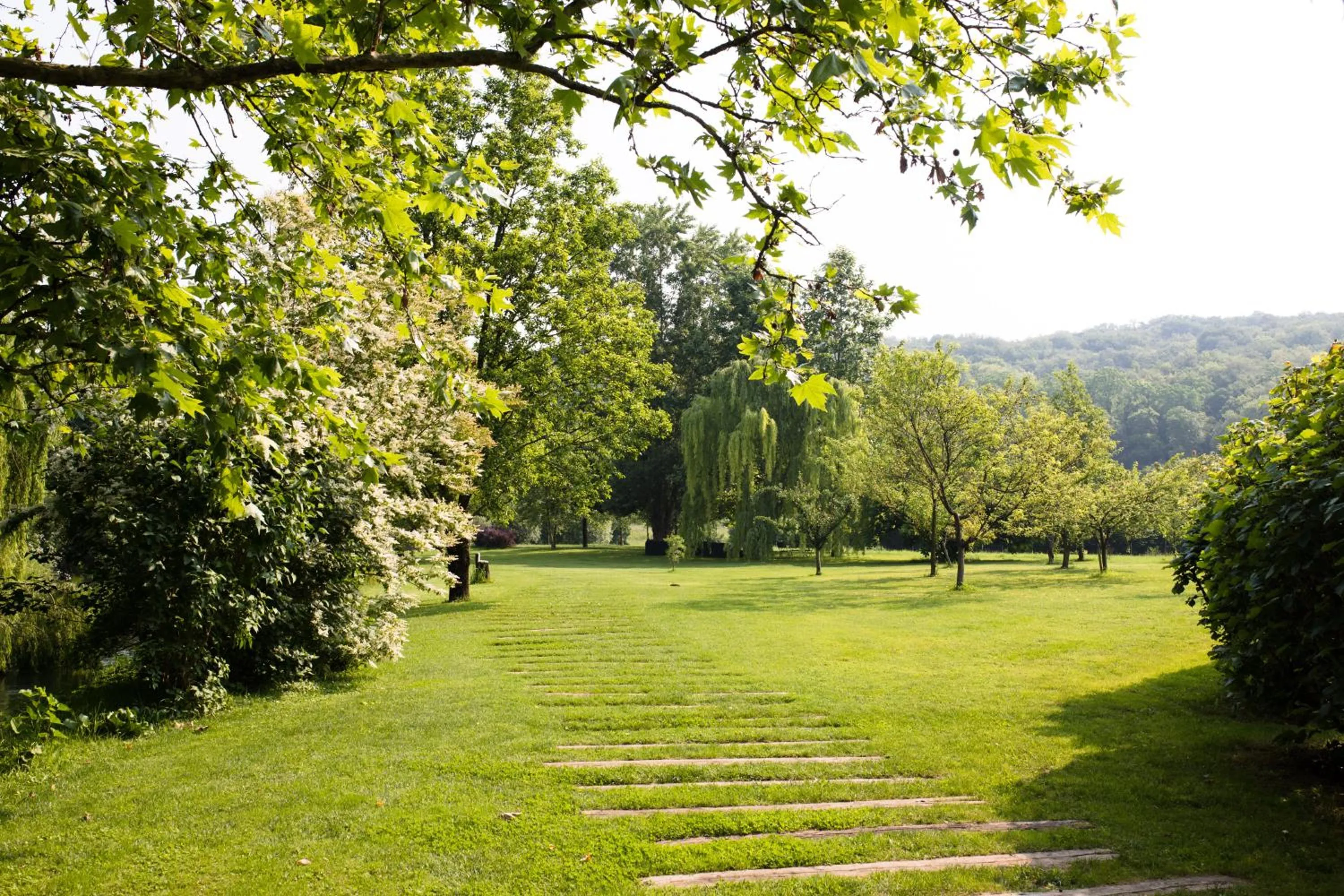 Natural landscape in Musella Winery & Relais
