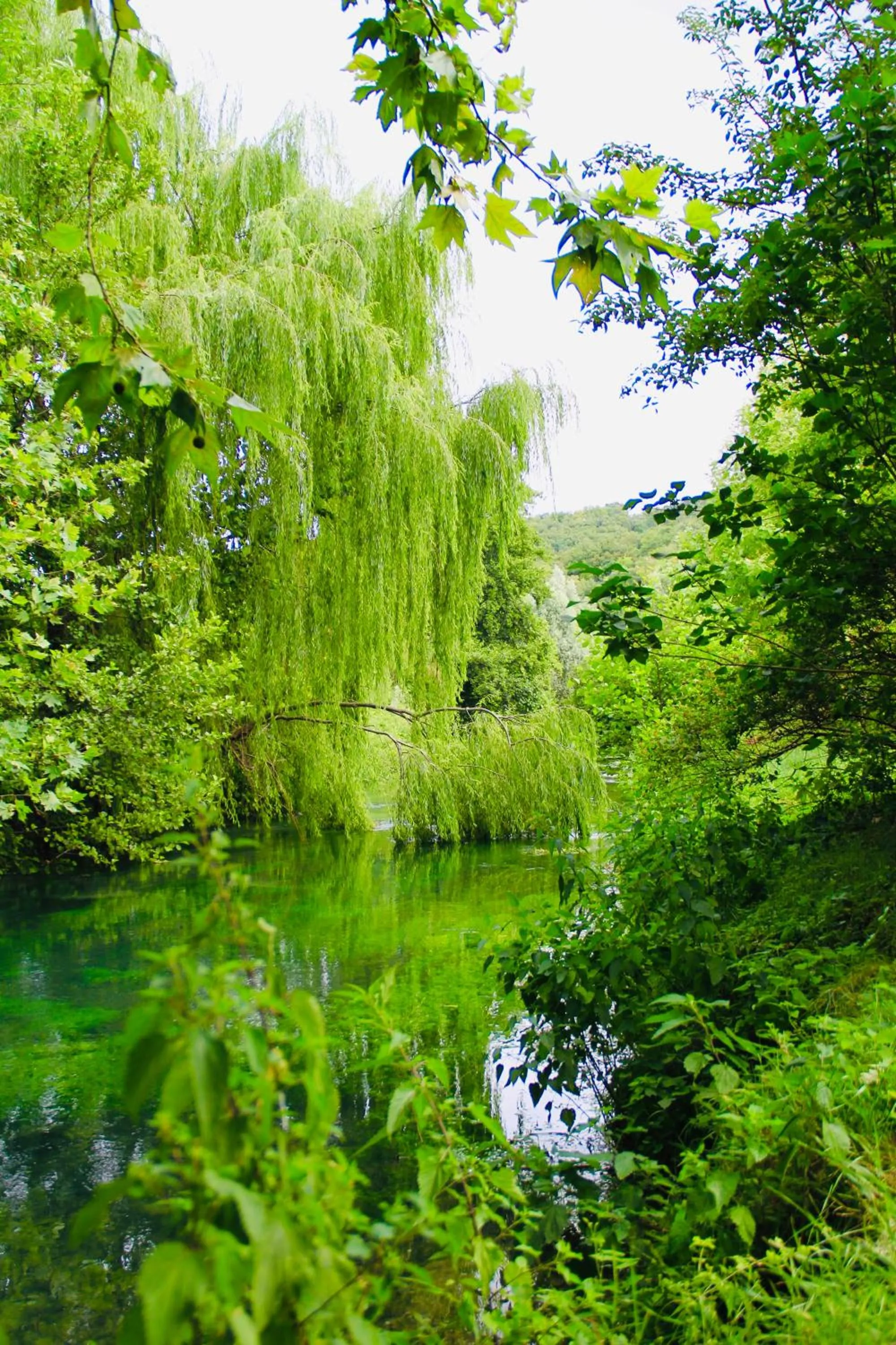 Garden in Musella Winery & Relais