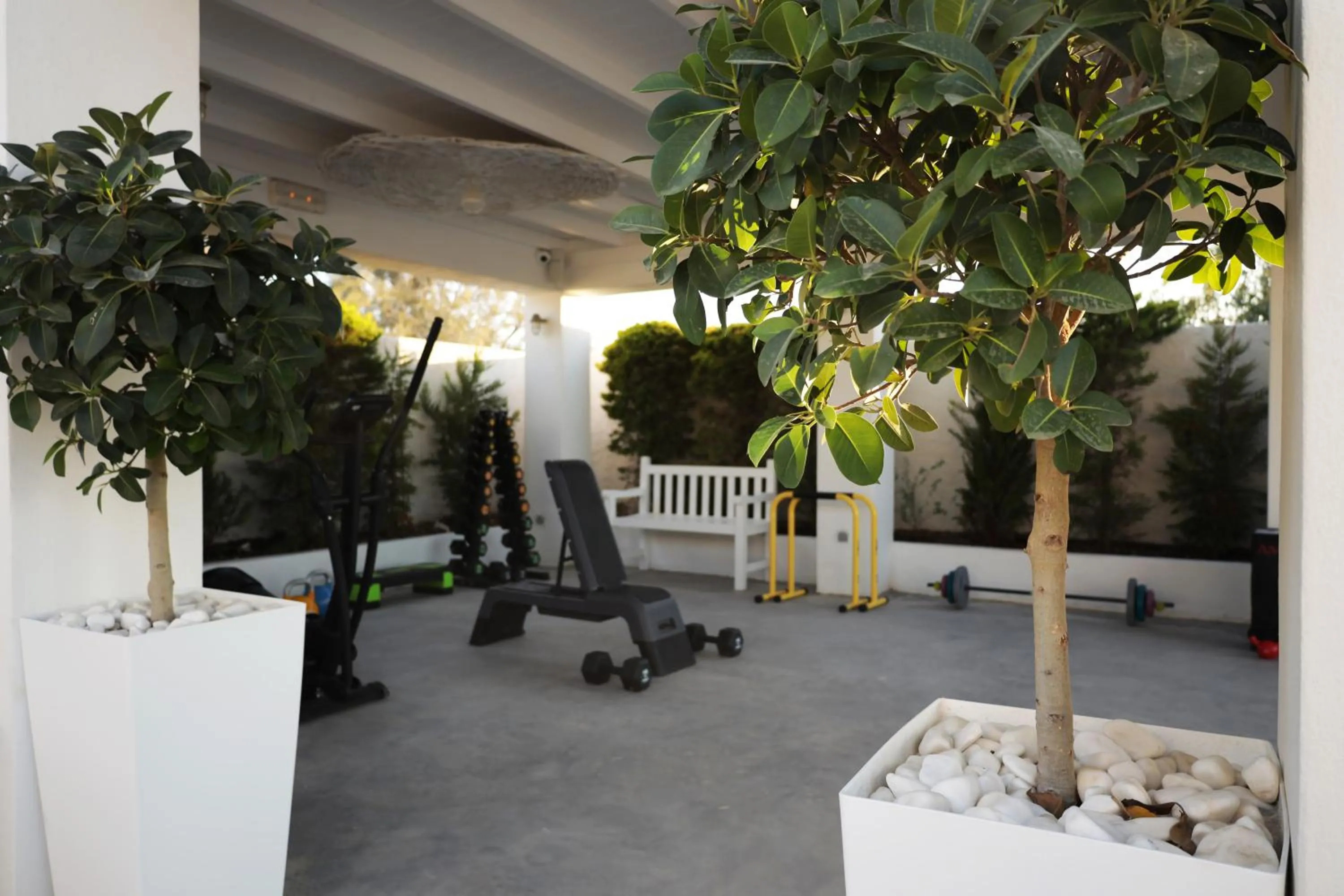 Fitness centre/facilities in Caldera's Dolphin Suites