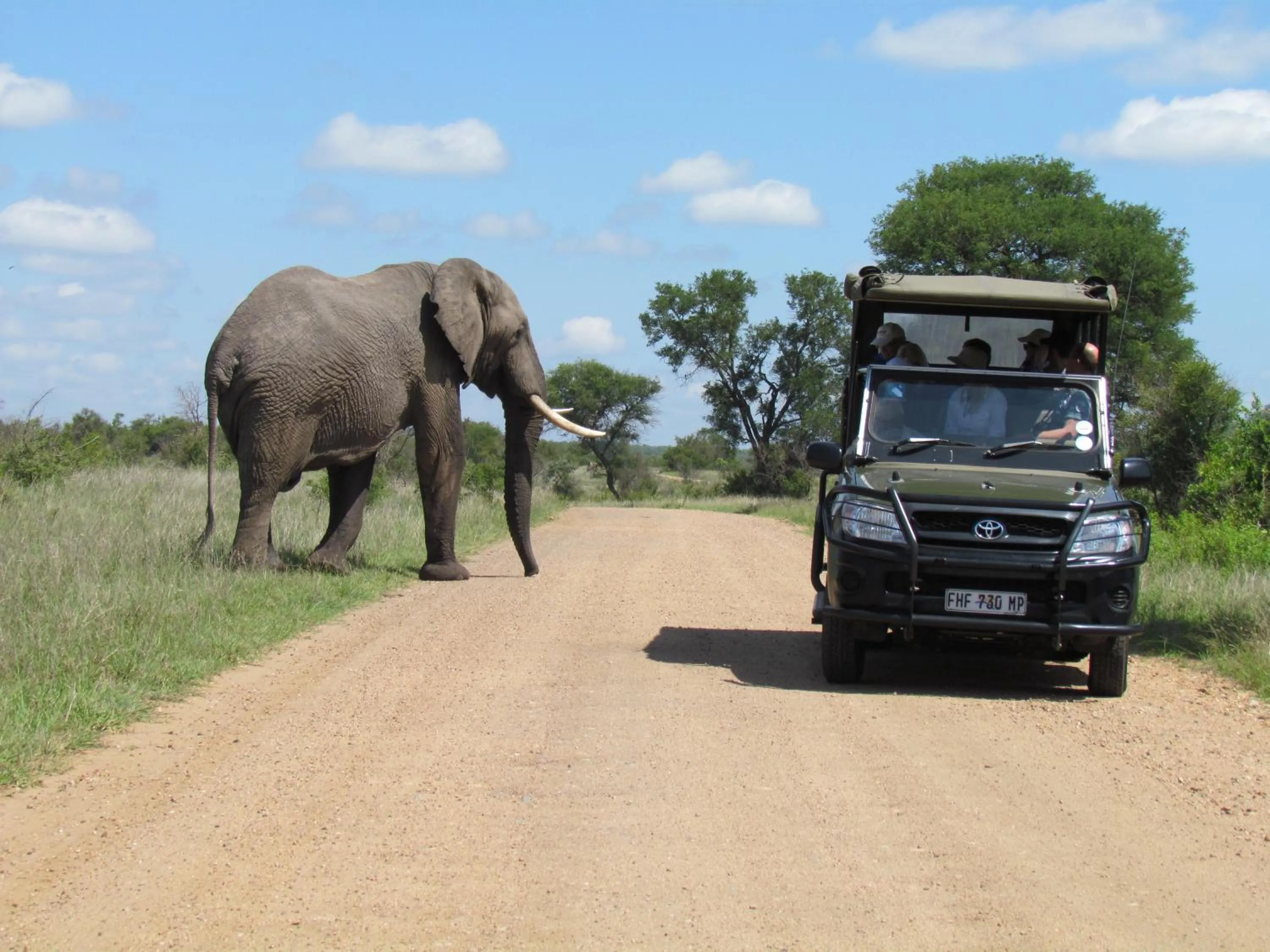 Activities in Nkambeni Safari Camp