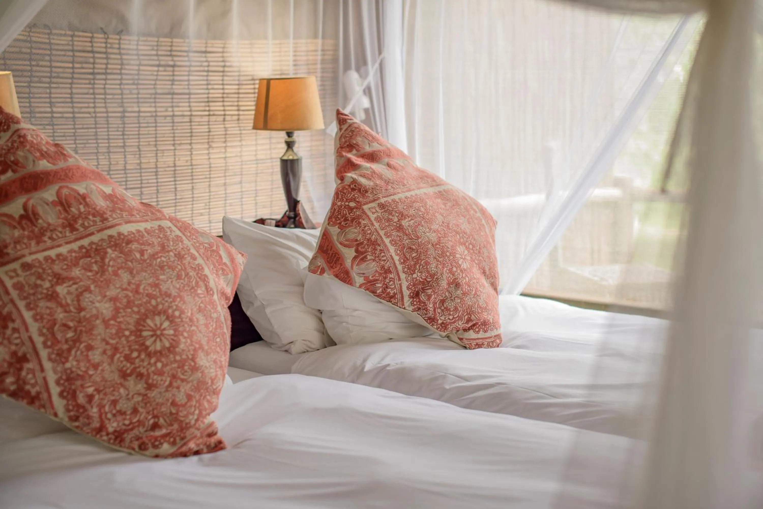 Standard Tent in Nkambeni Safari Camp