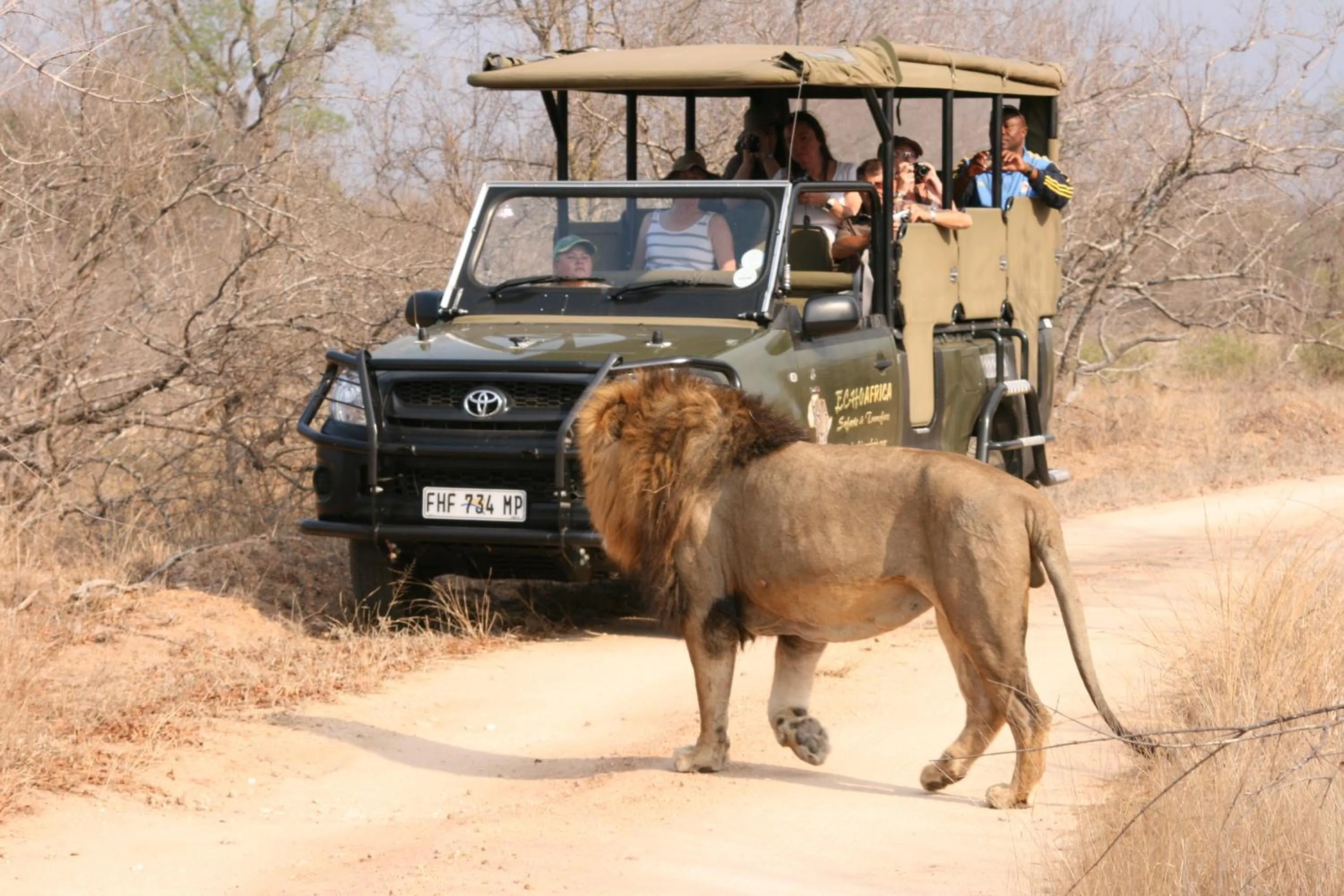 Activities in Nkambeni Safari Camp