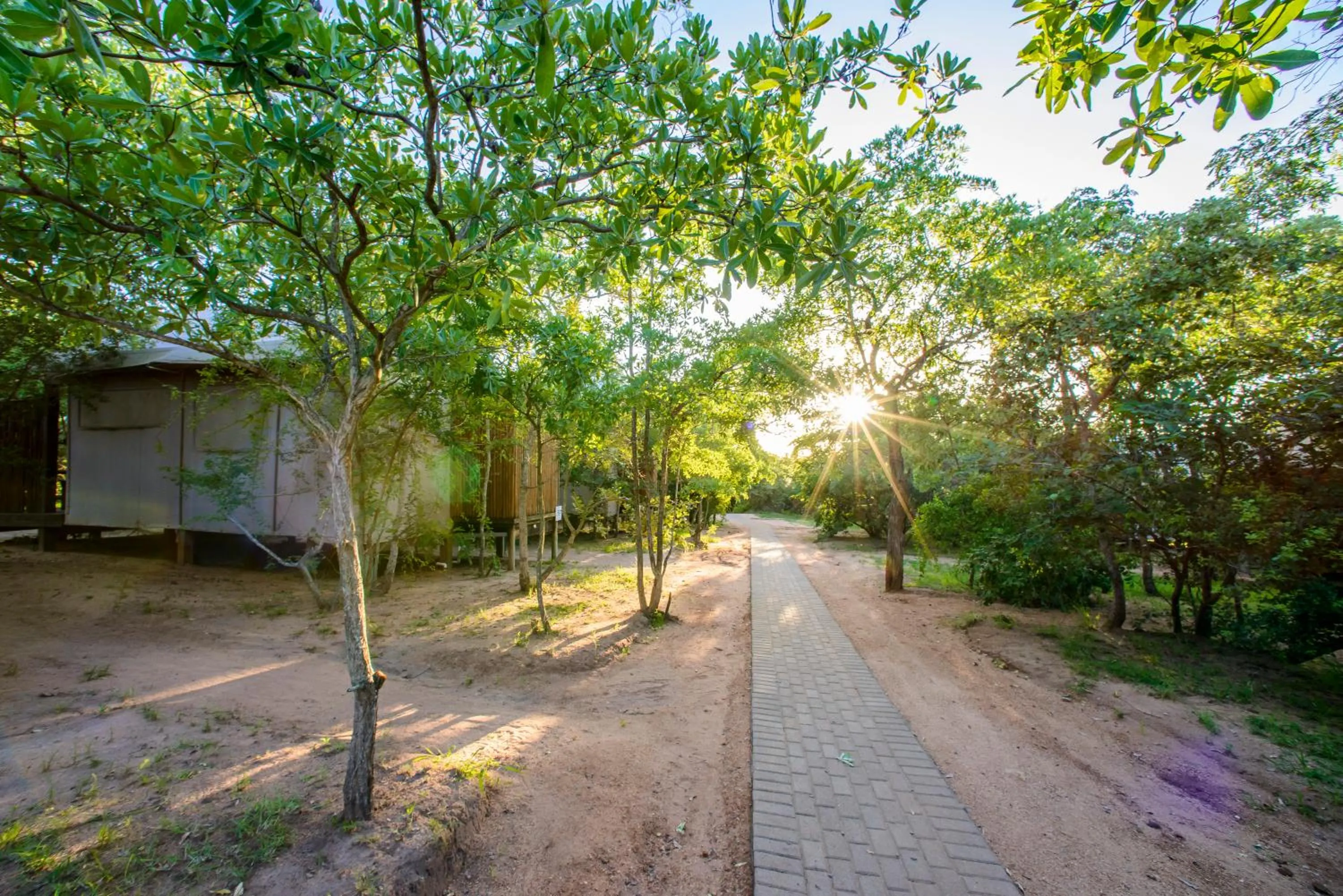 Garden in Nkambeni Safari Camp