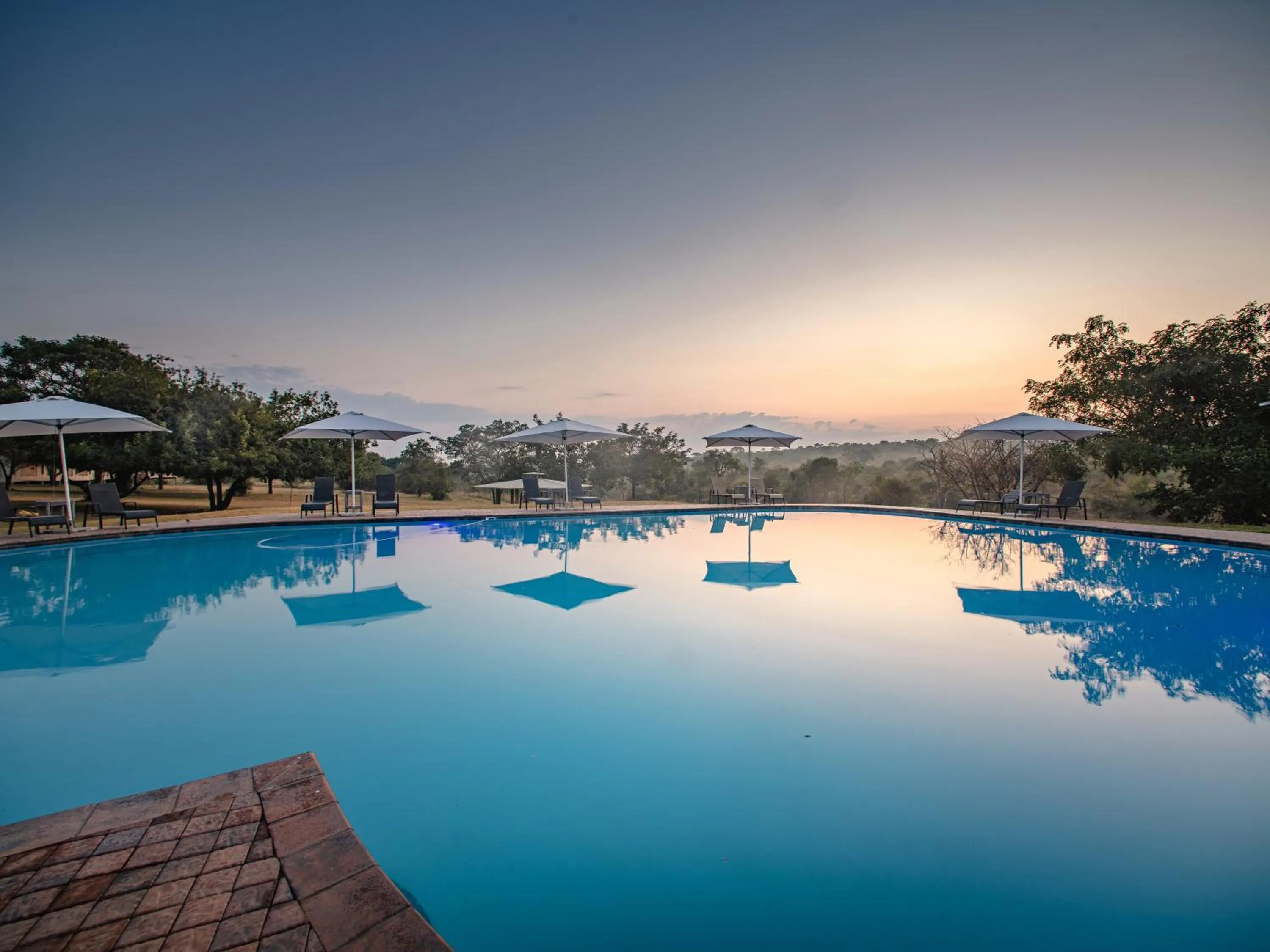 Pool view in Nkambeni Safari Camp