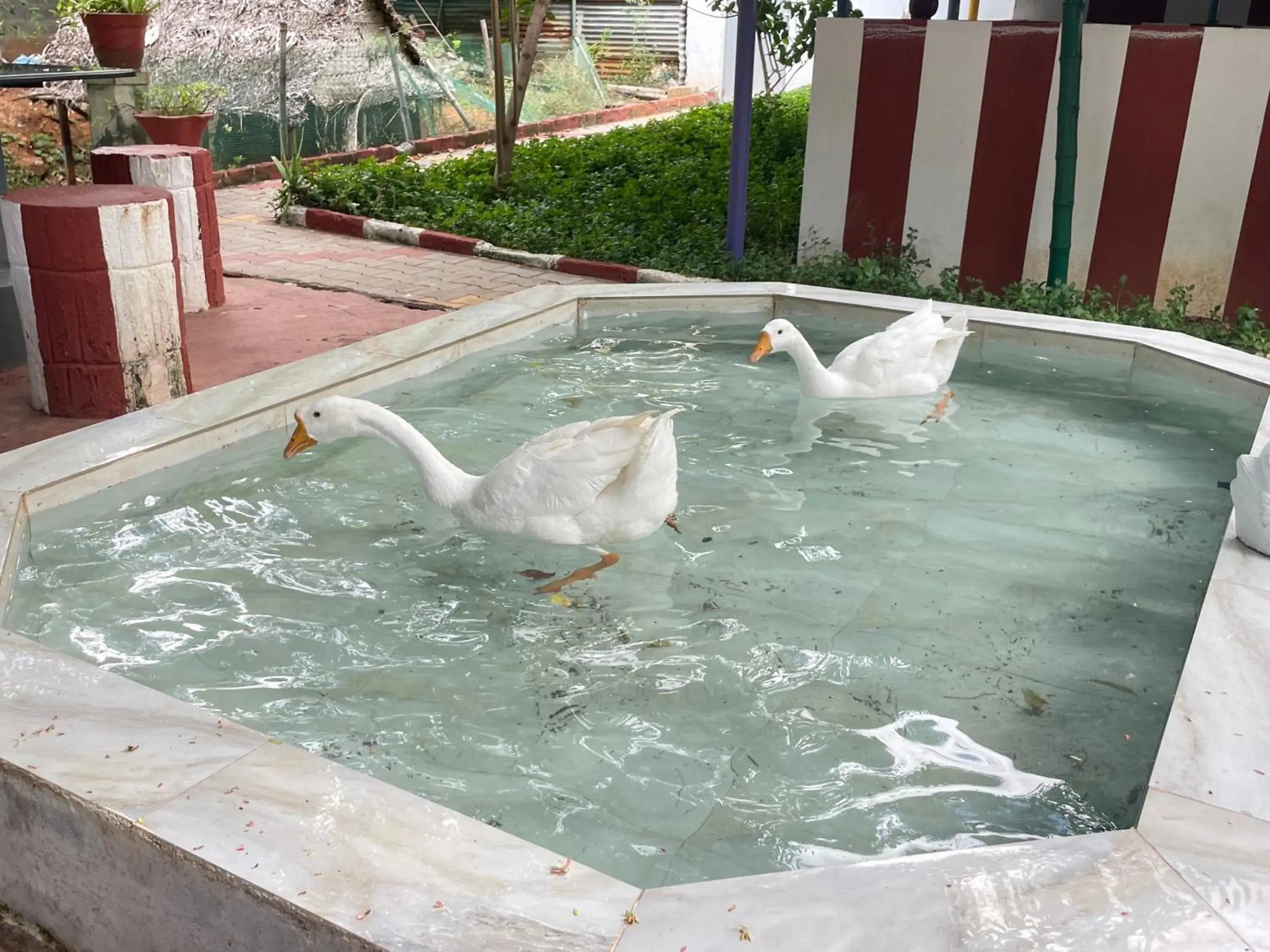 Property building in Chola Heritage Resort Property building in Chola Heritage Resort