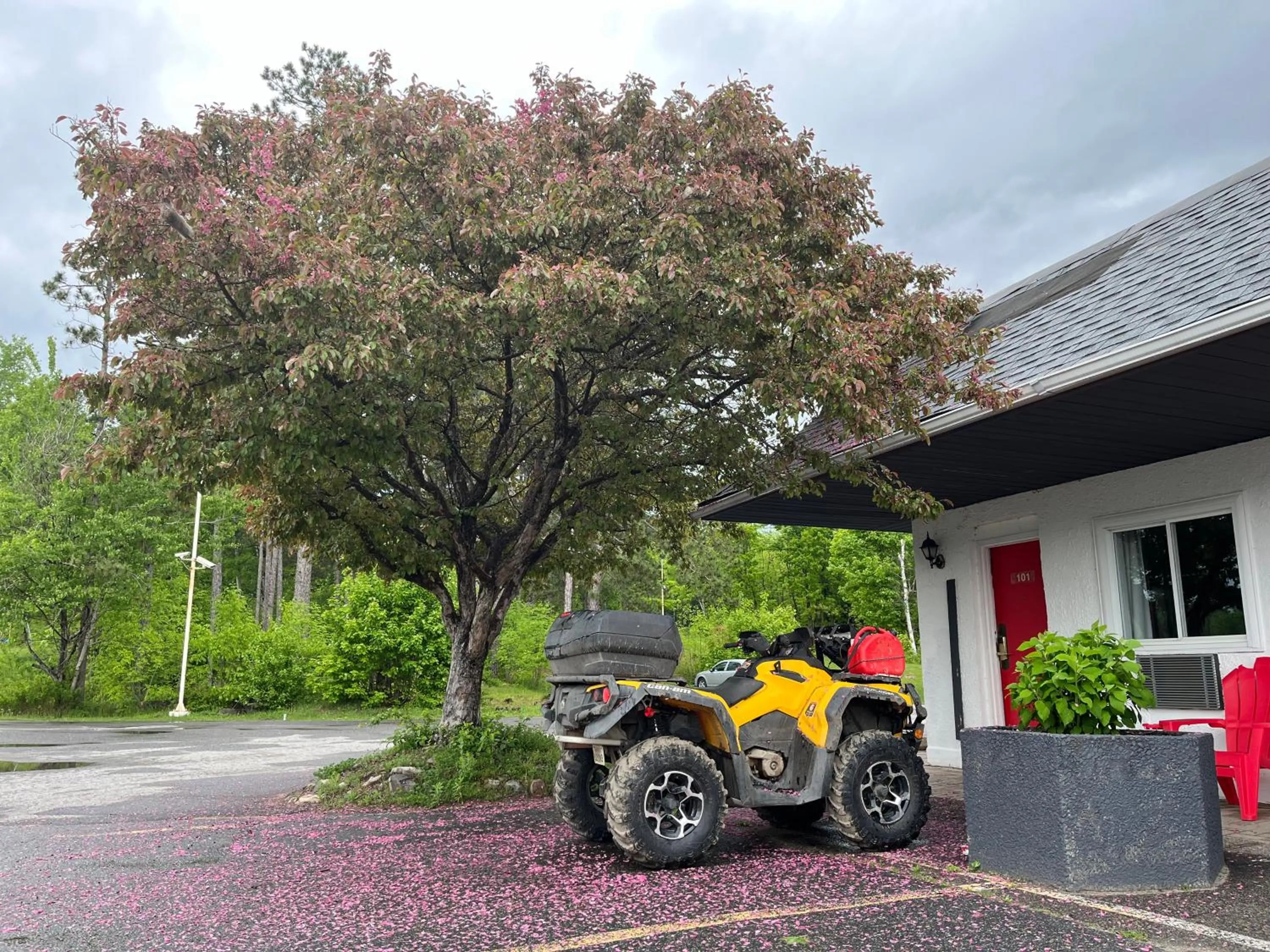 Property building in Jolly Roger Inn & Resort