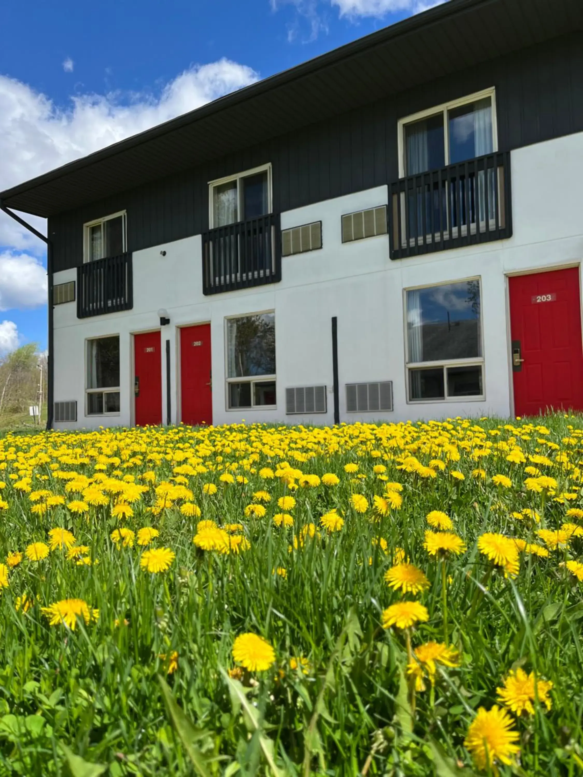 Property building in Jolly Roger Inn & Resort Property building in Jolly Roger Inn & Resort