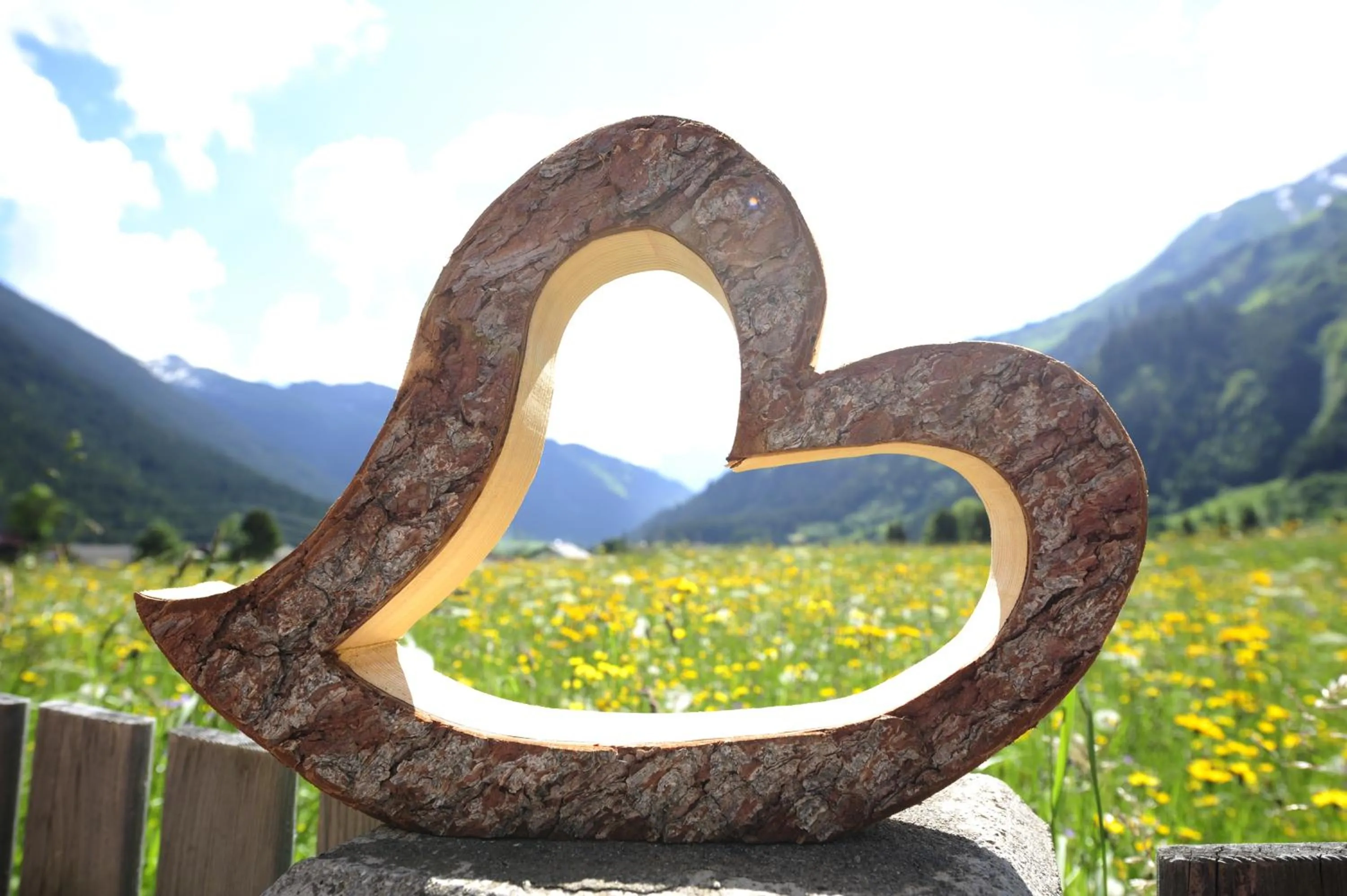 Natural landscape in Luxury Chalets Wiesenruh