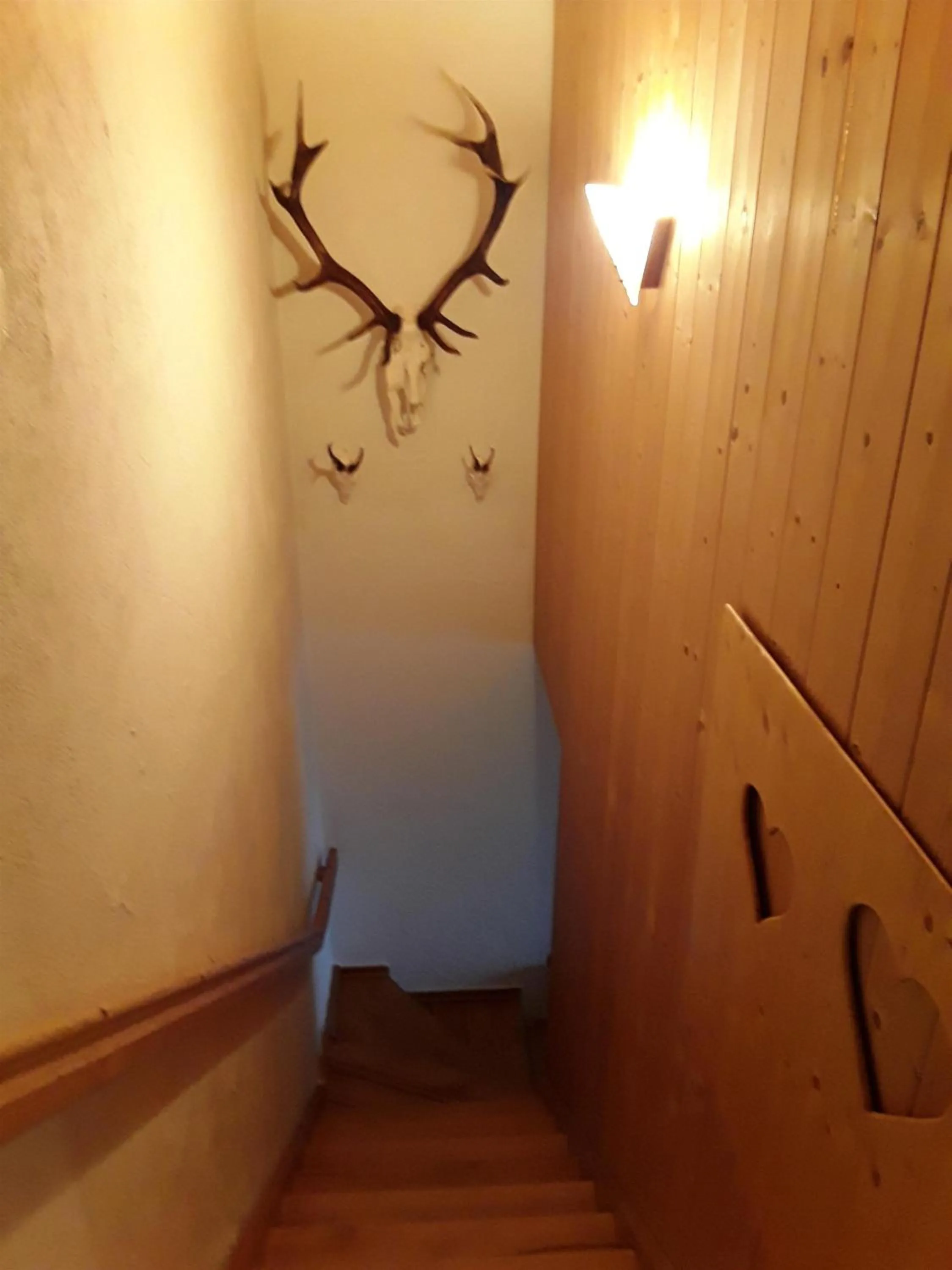 Photo of the whole room in Haus Edelweiß
