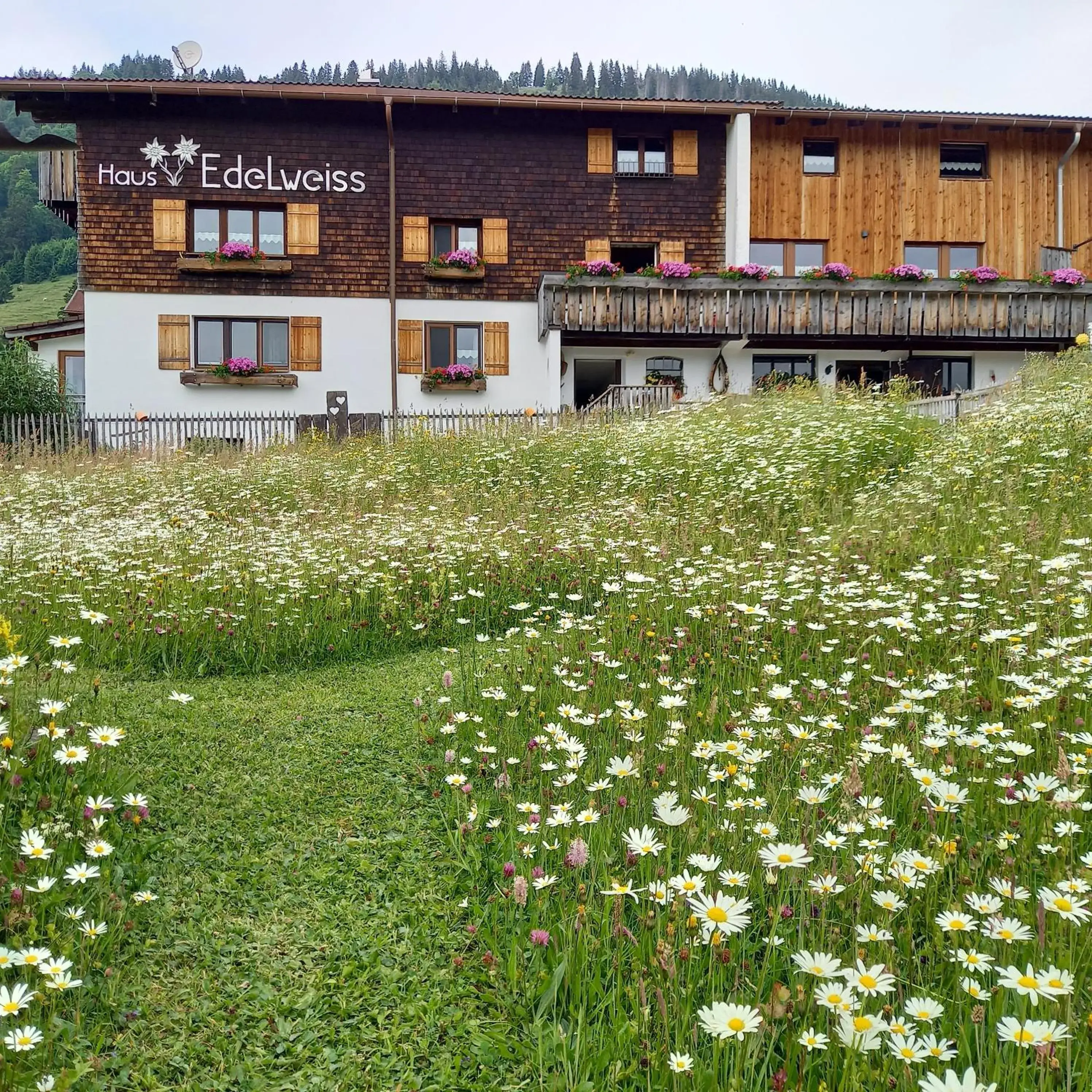 Haus Edelweiß Haus Edelweiß
