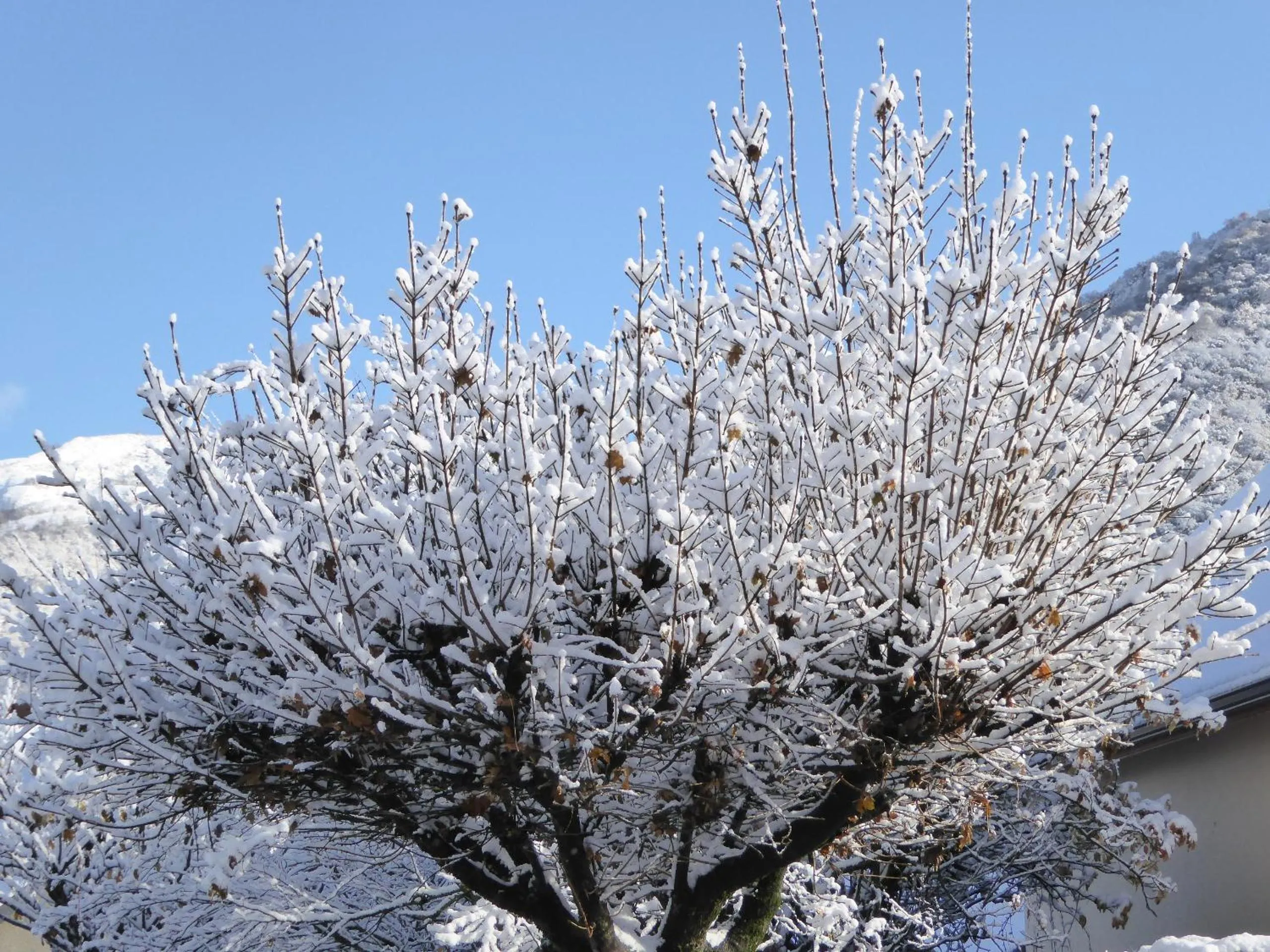 Winter in Hôtel de la Gare