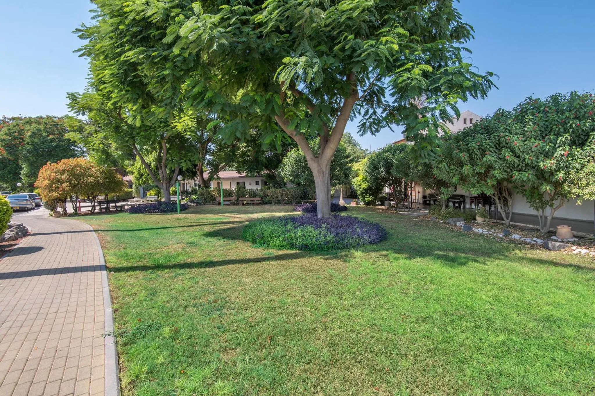 Garden view in Degania Bet Kibbutz Country Lodging