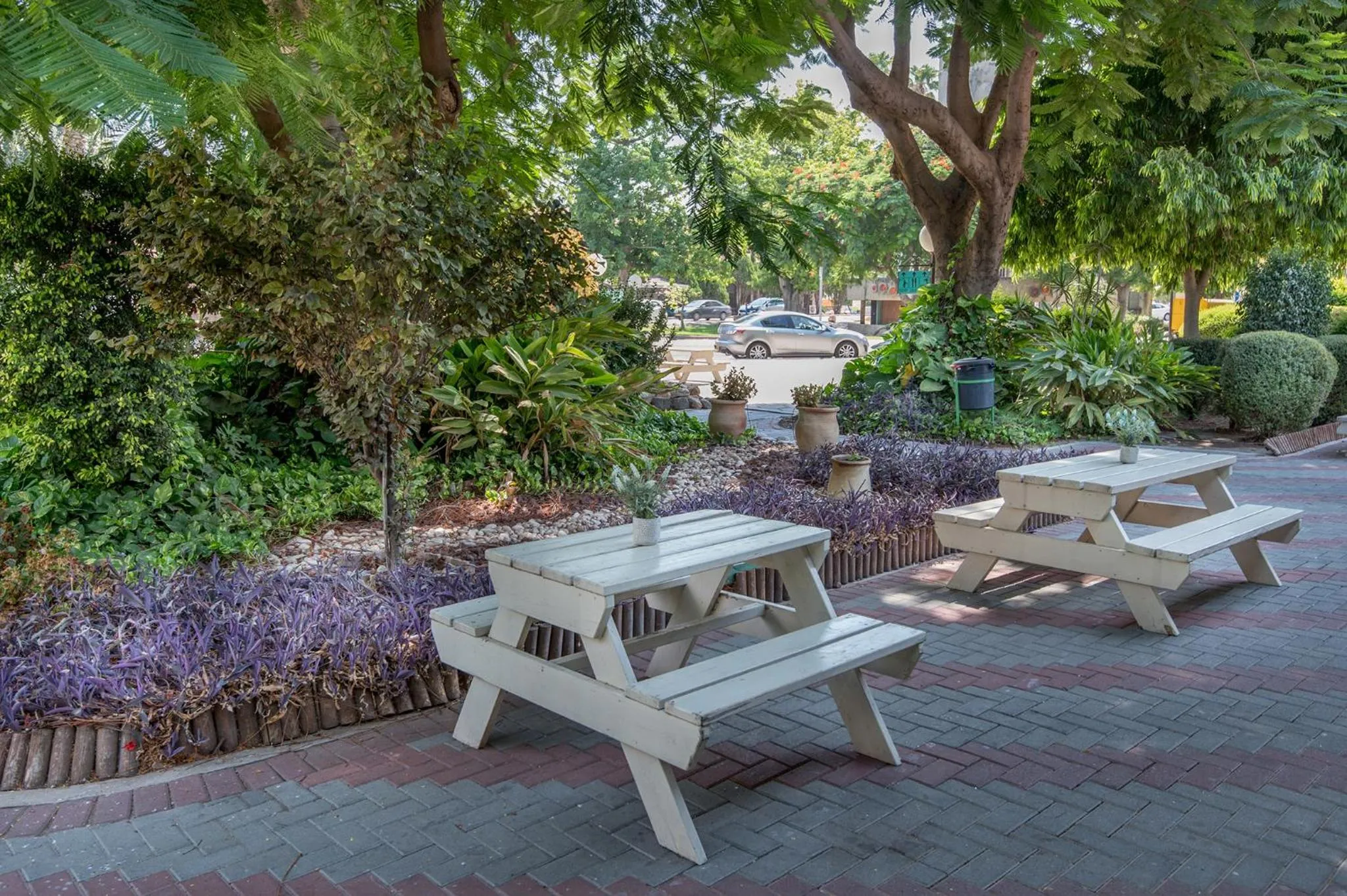 Garden view in Degania Bet Kibbutz Country Lodging