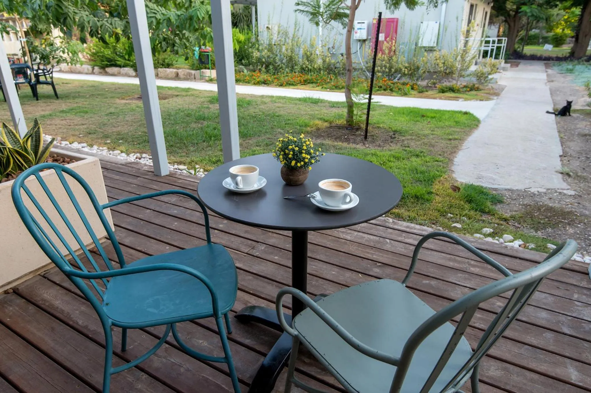 Garden in Degania Bet Kibbutz Country Lodging