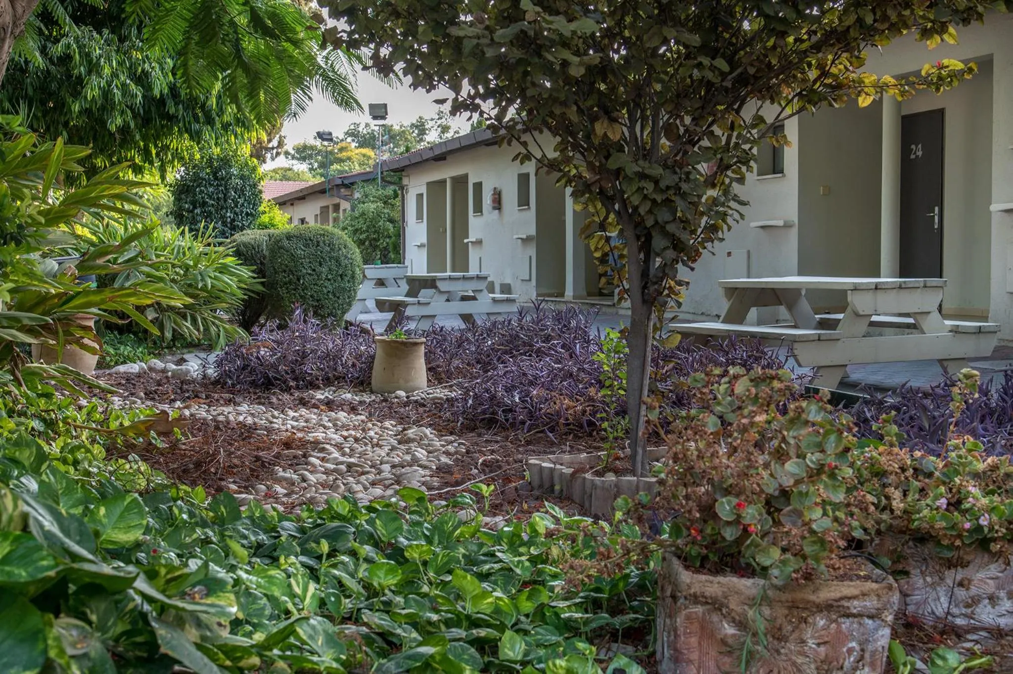 Property building in Degania Bet Kibbutz Country Lodging