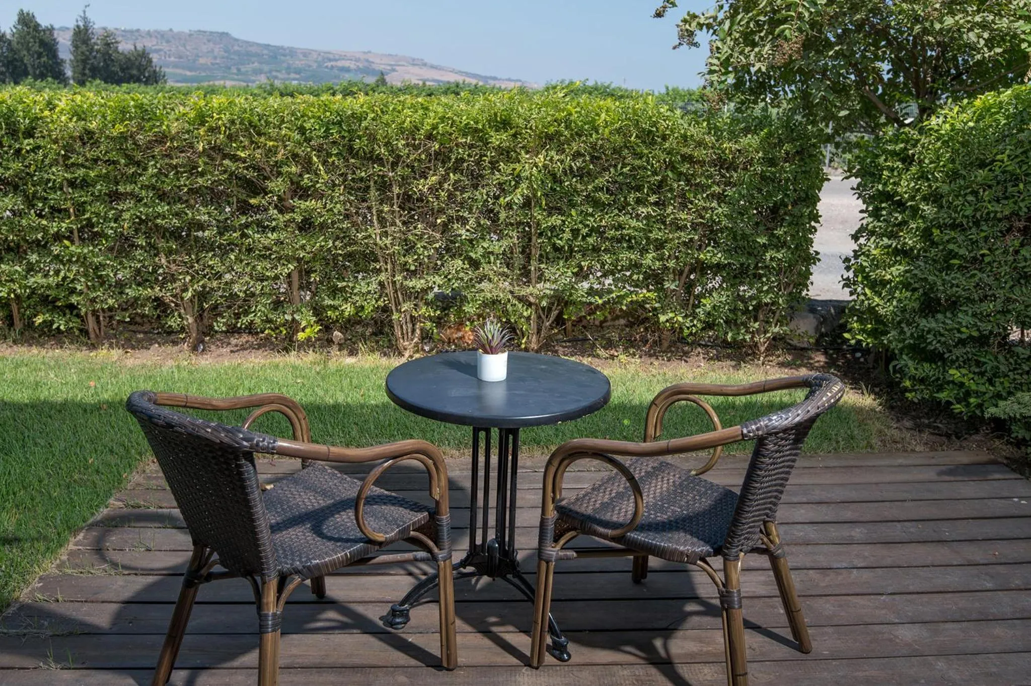 Natural landscape in Degania Bet Kibbutz Country Lodging