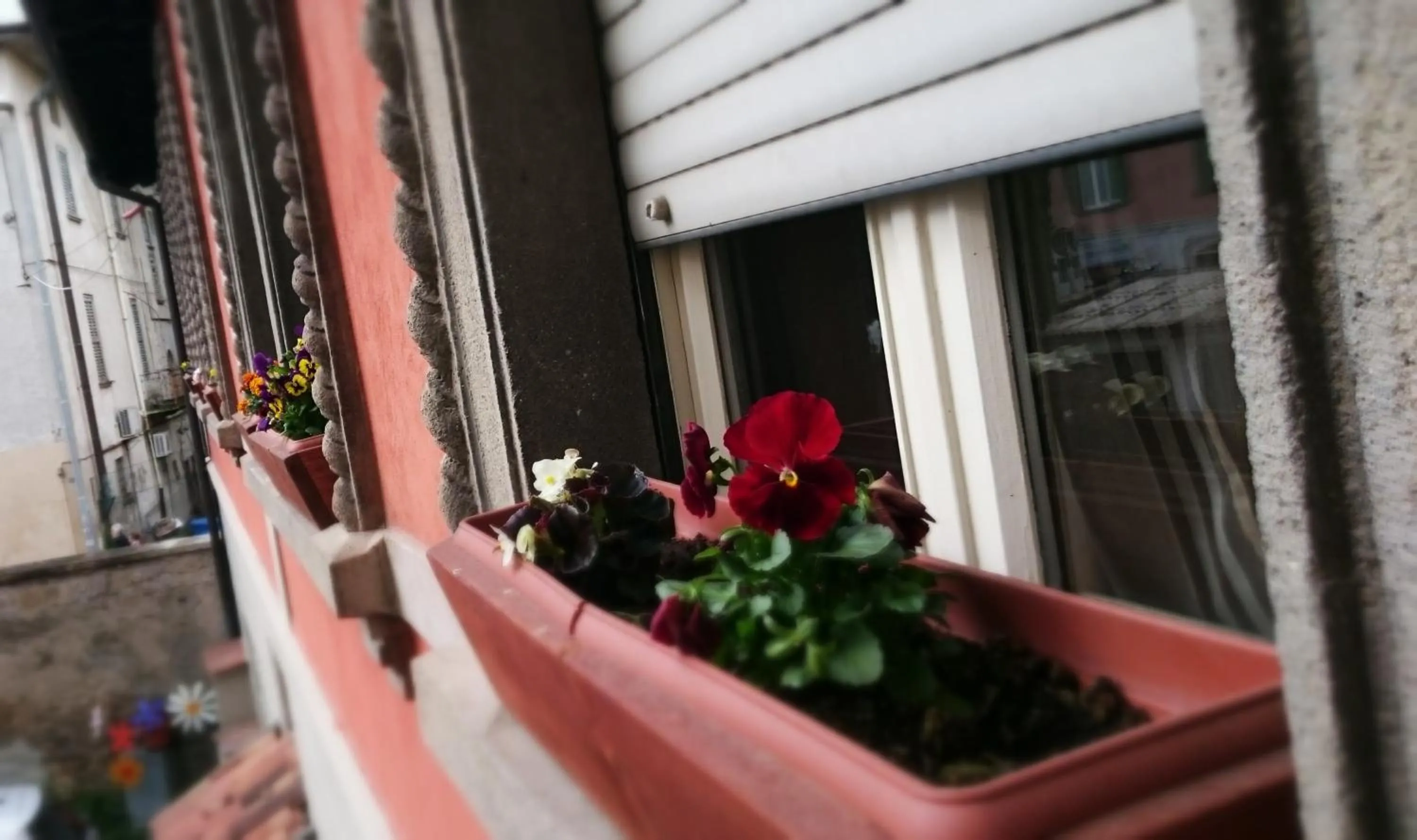 View (from property/room) in Prenditempo