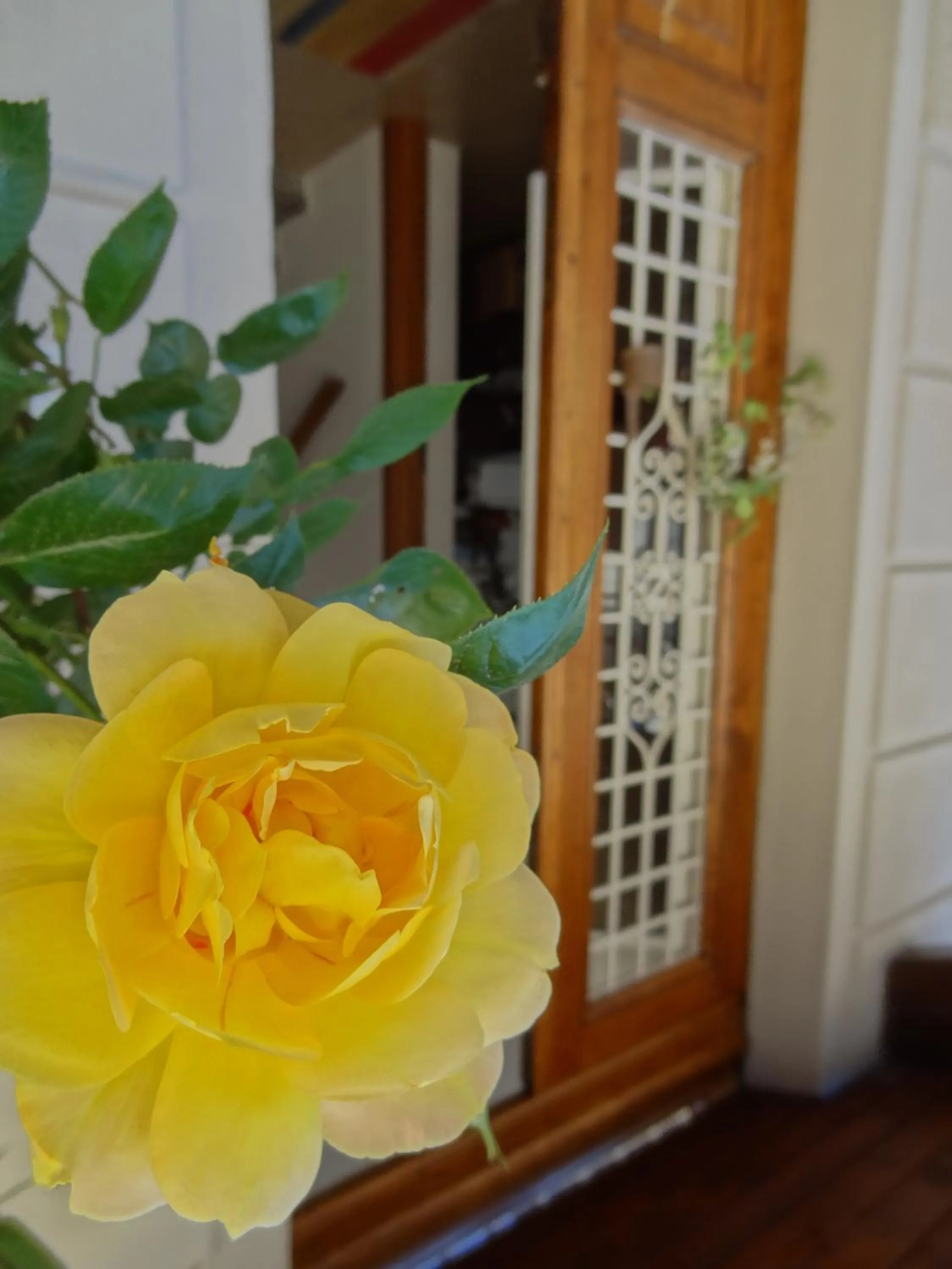 Facade/entrance in Prenditempo