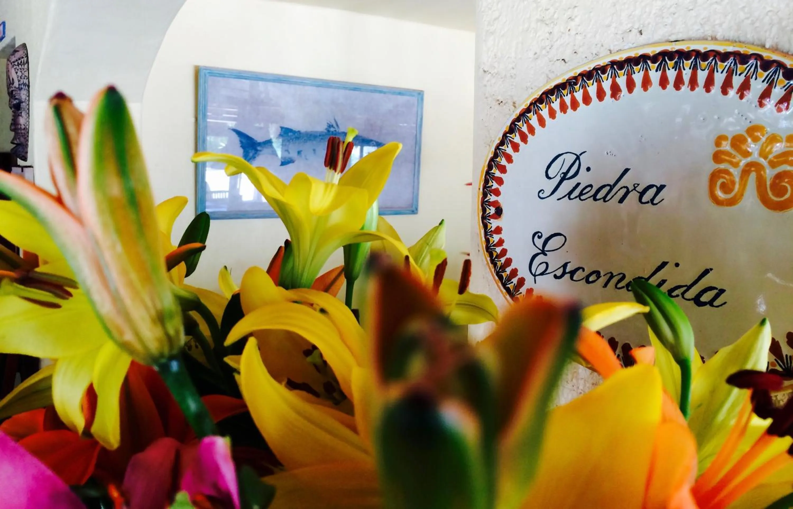 Property logo or sign in Hotel Piedra Escondida