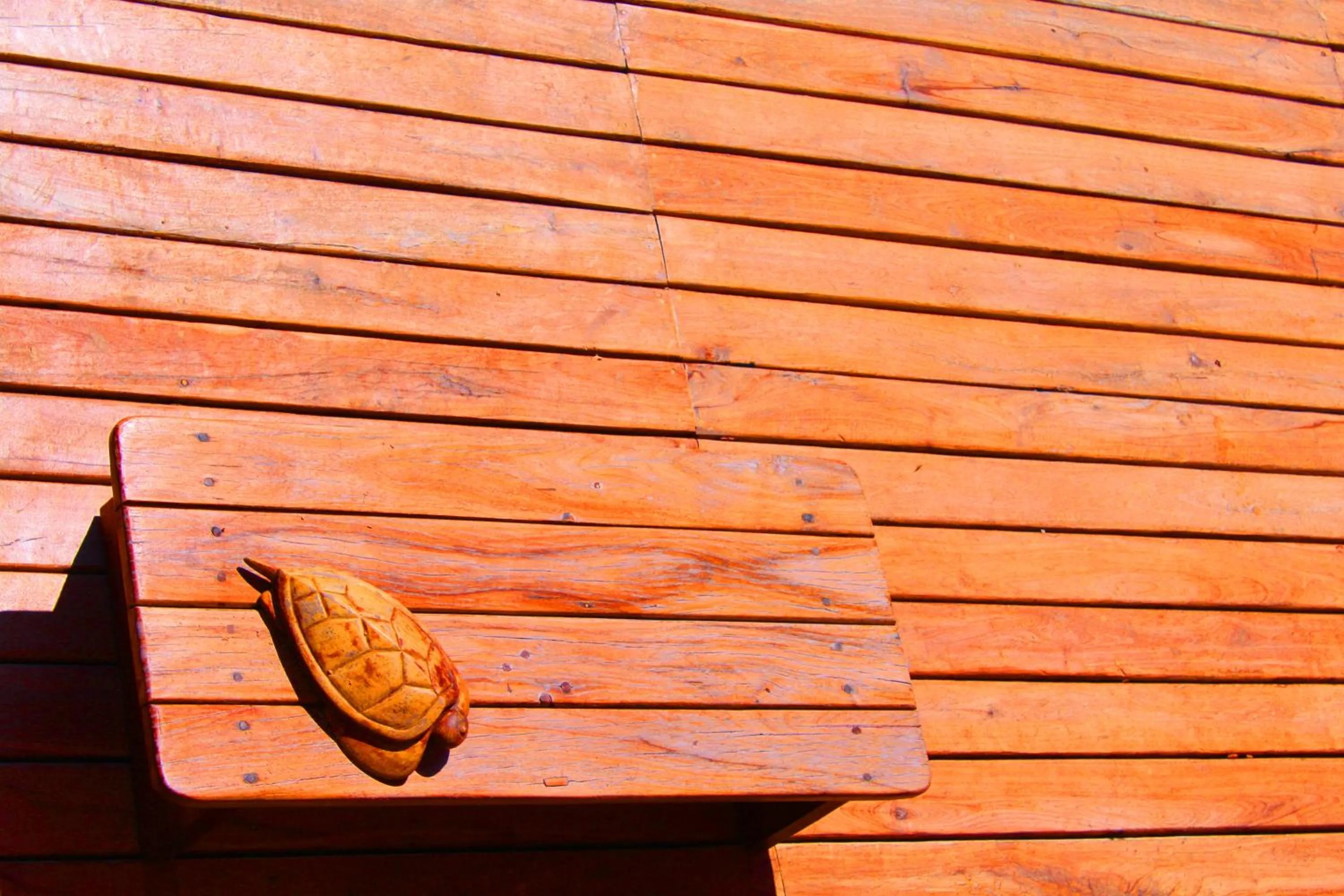 View (from property/room) in Hotel Piedra Escondida