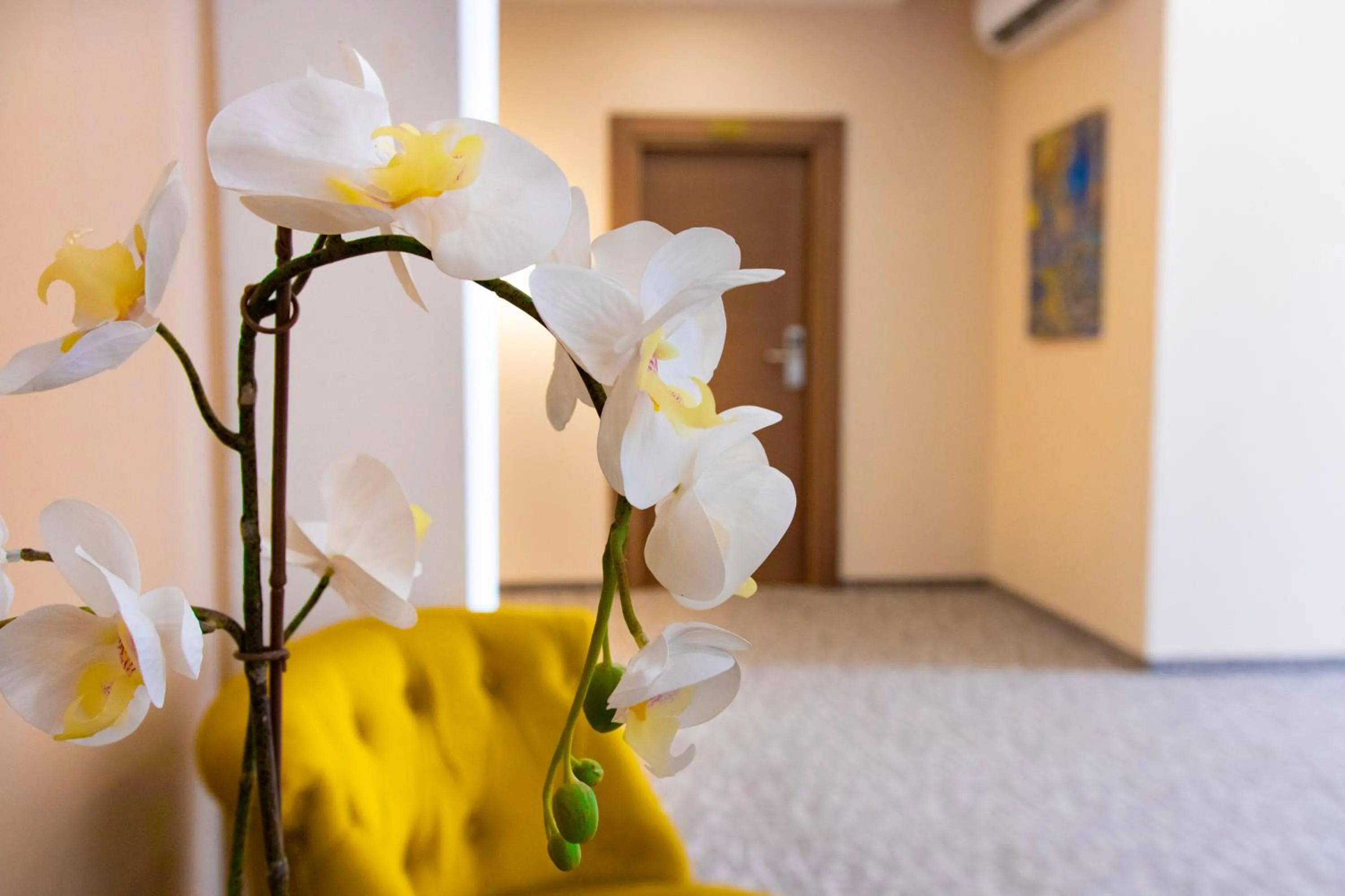 Lobby or reception in Luxury Rooms Skadarlija