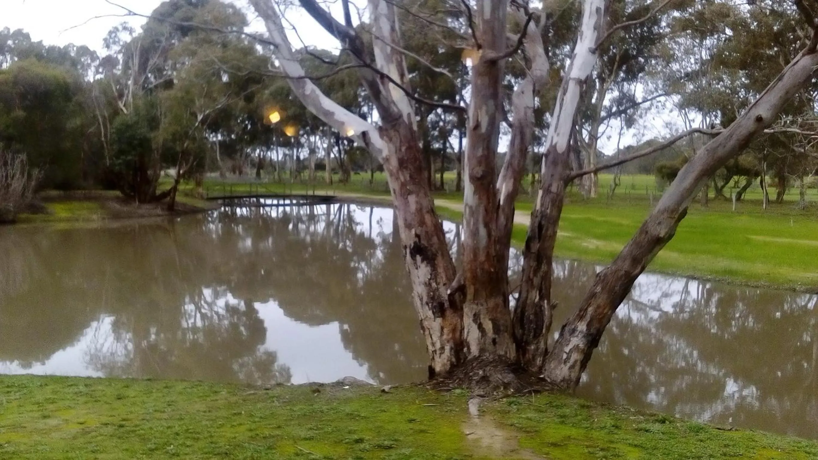 View (from property/room) in Magdala Motor Lodge & Lakeside Restaurant