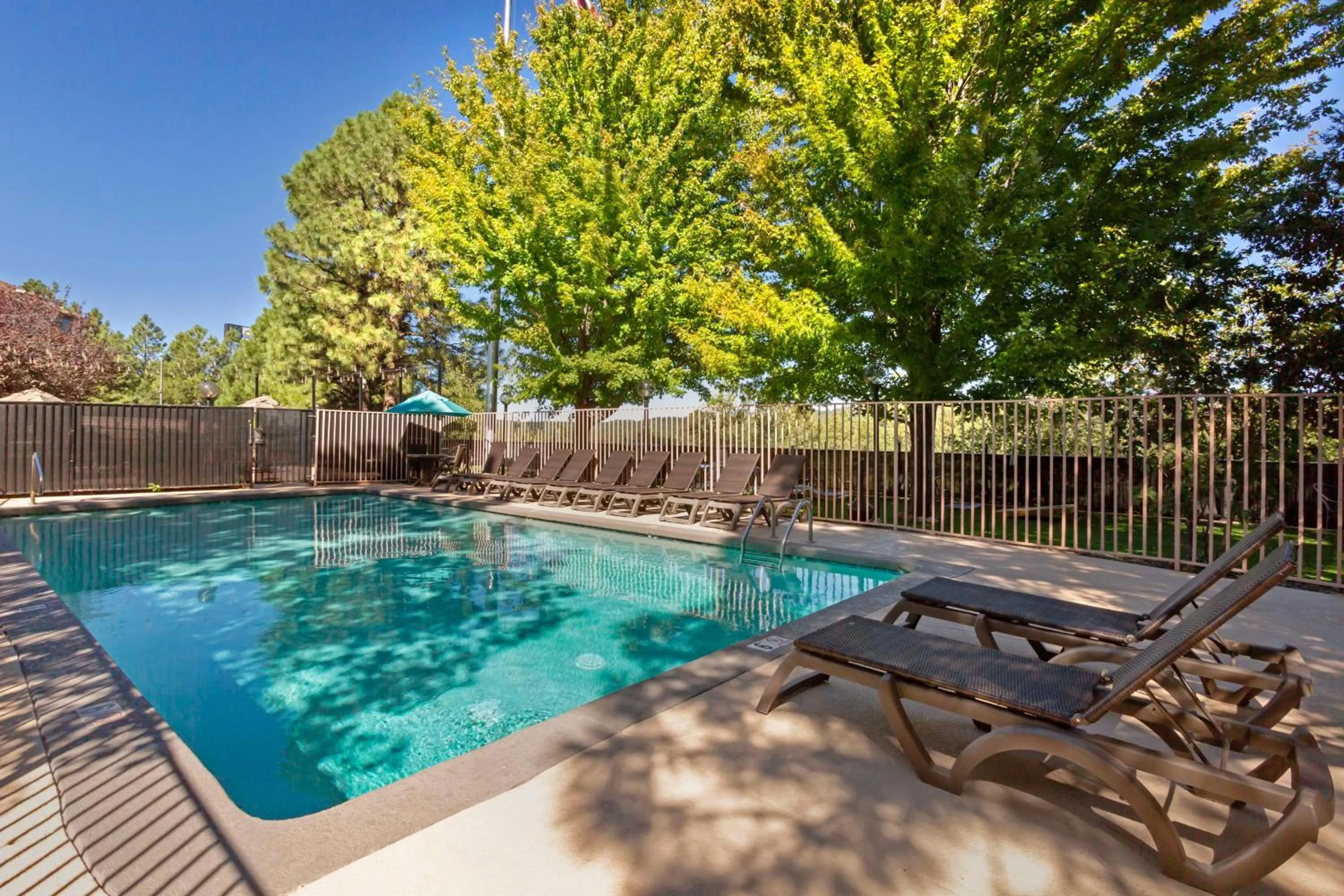 Pool view in Best Western Plus Inn of Williams