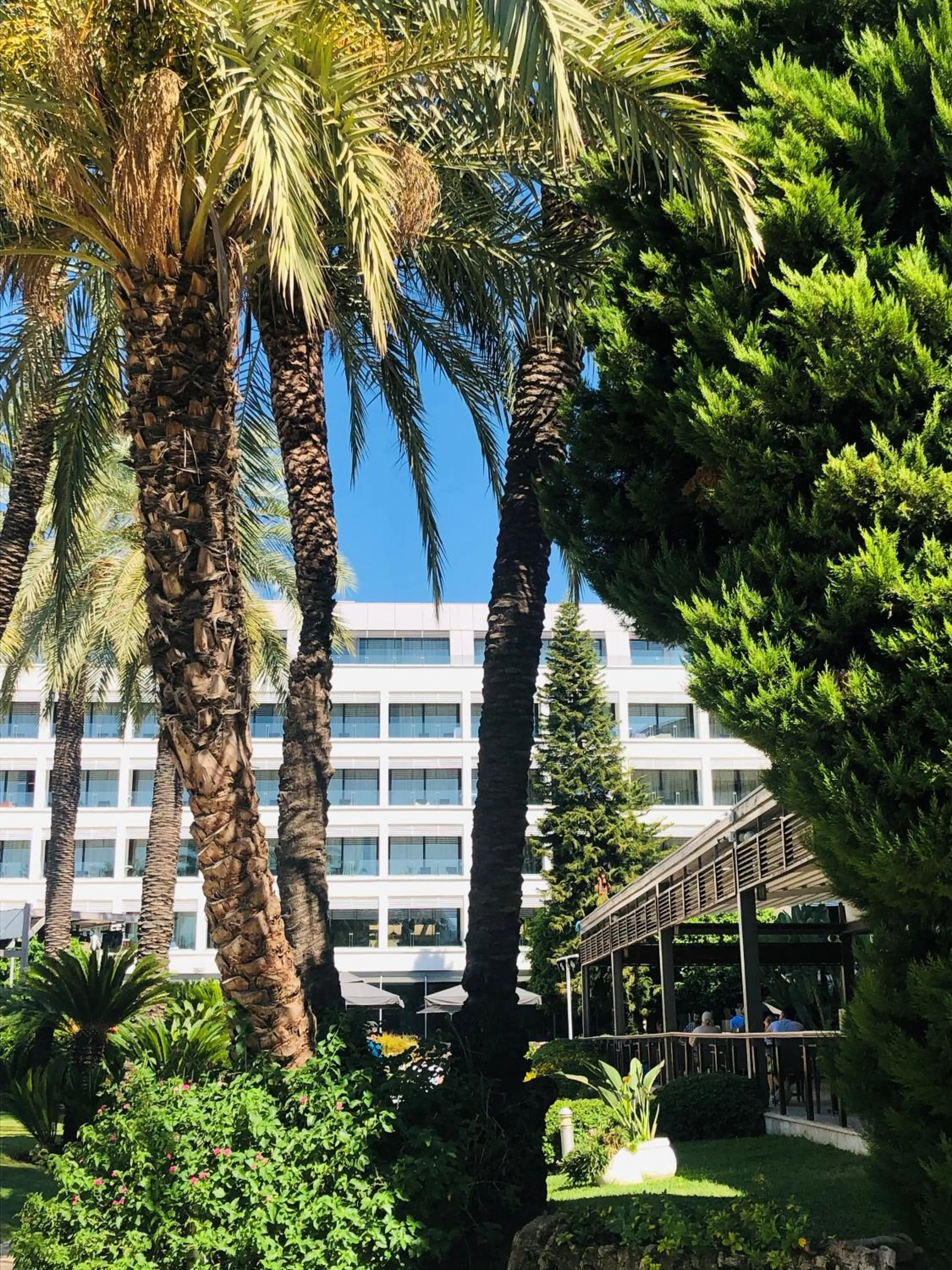 Day in TUI BLUE Grand Azur