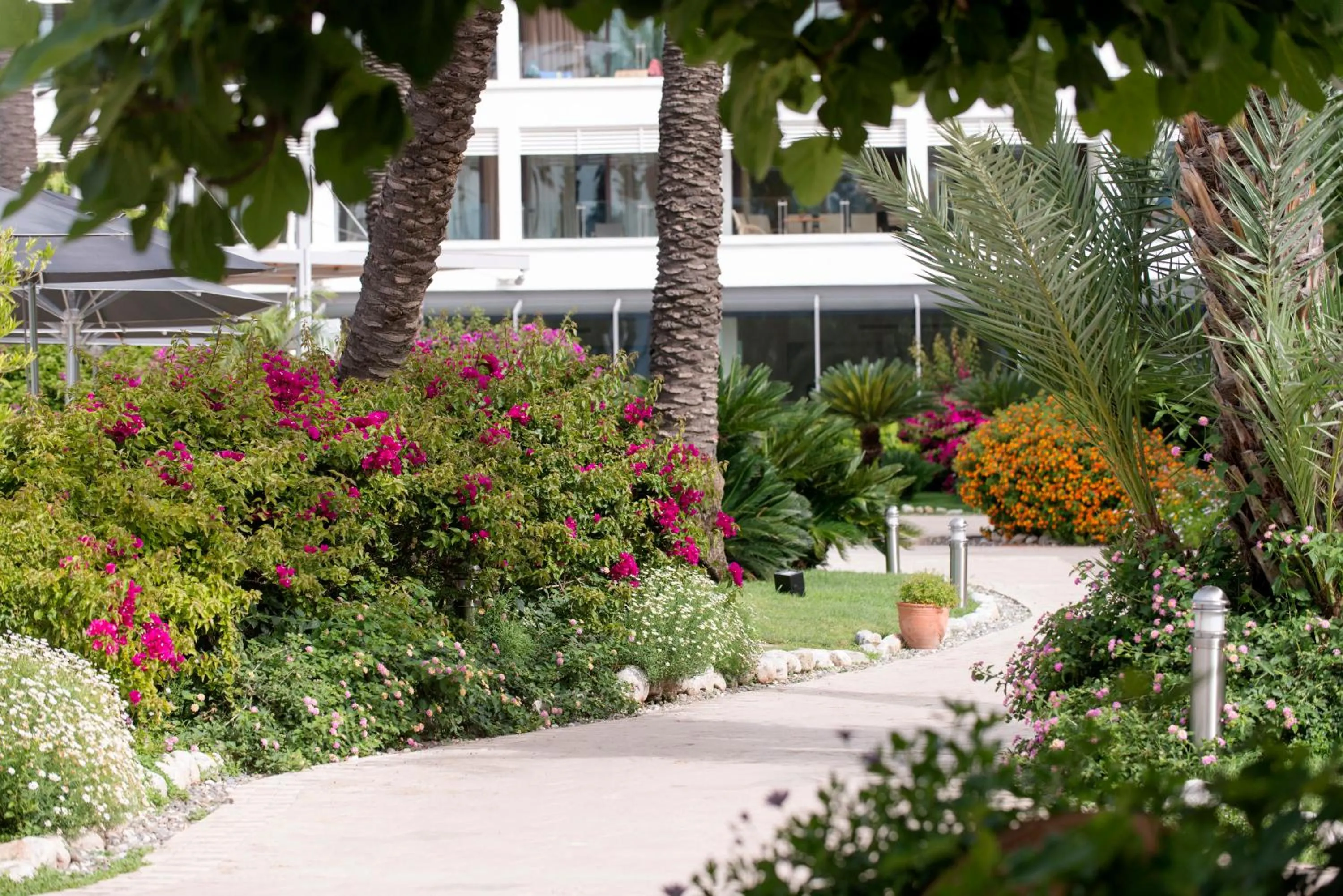 Property building in TUI BLUE Grand Azur