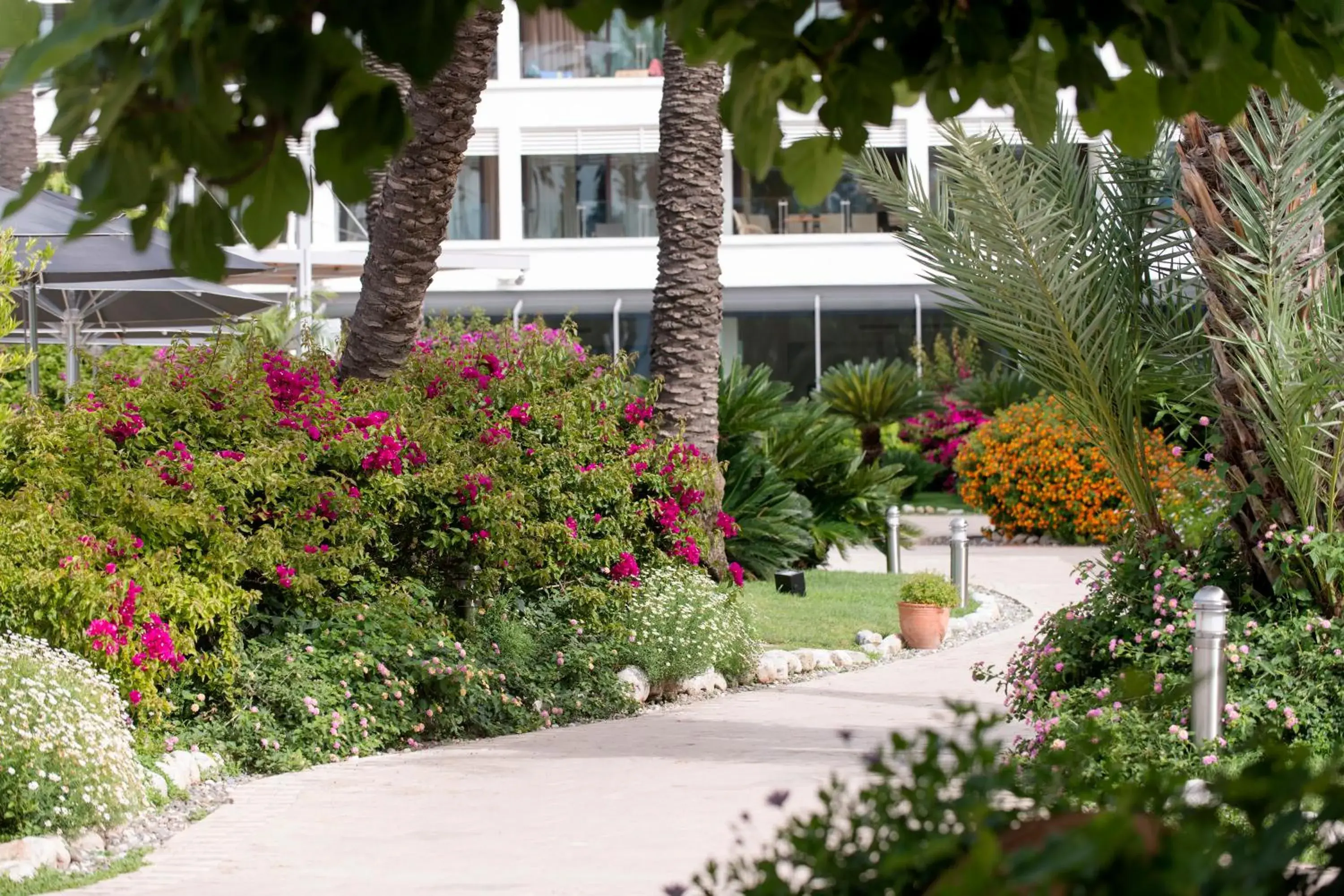 Property building in TUI BLUE Grand Azur Property building in TUI BLUE Grand Azur