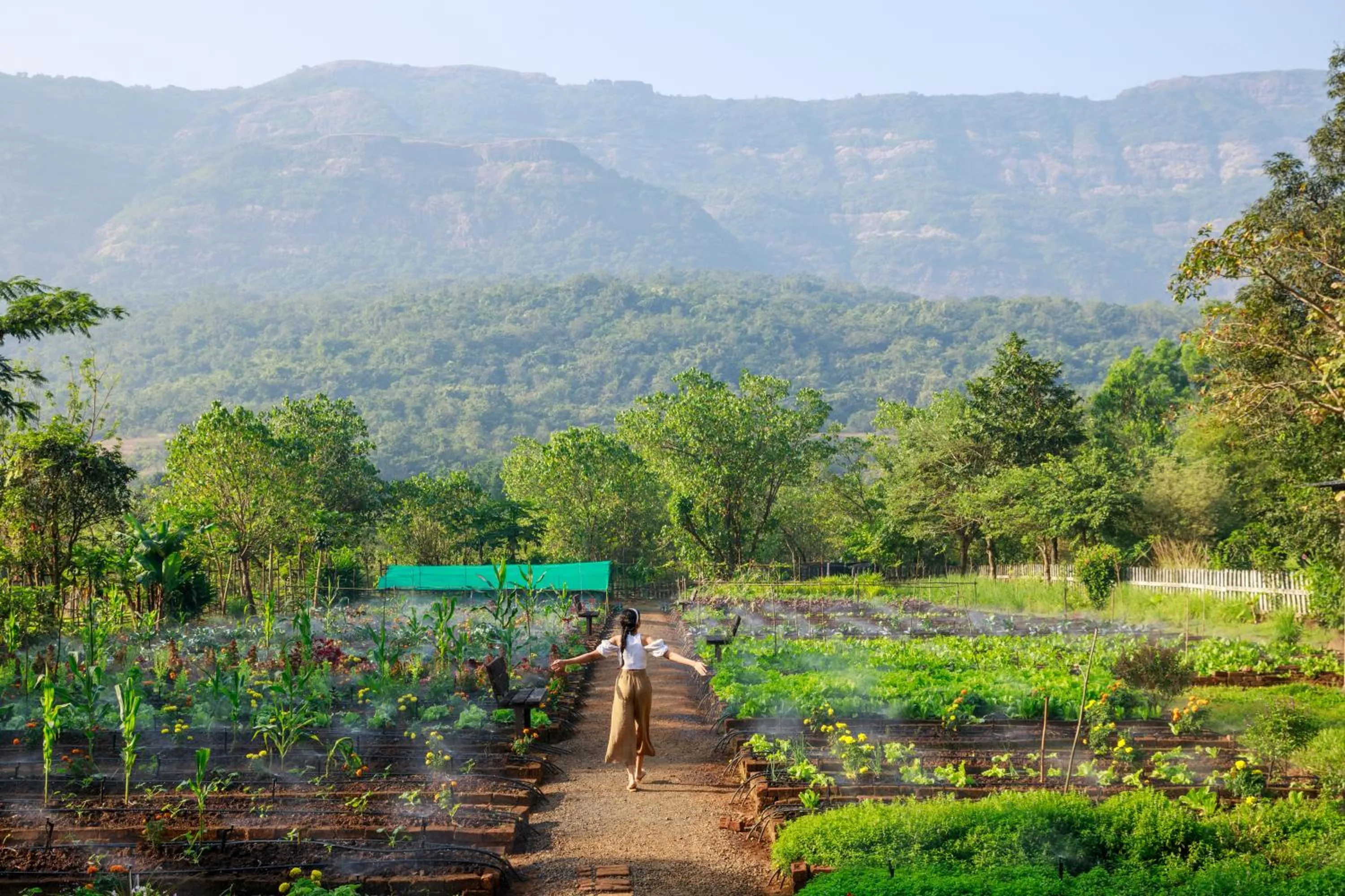 Garden in Dharana at Shillim All Inclusive Luxury Wellness Retreat
