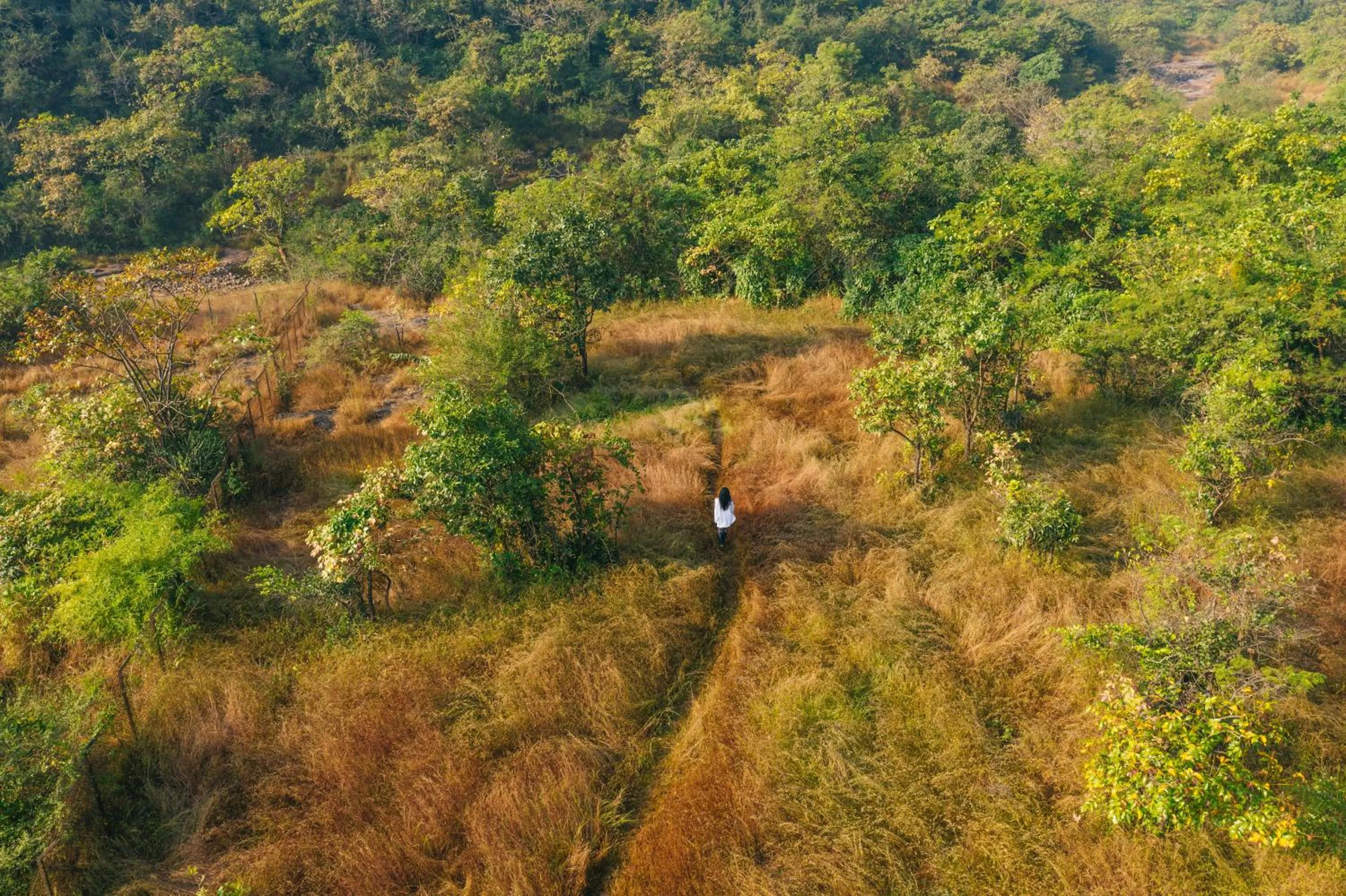Natural landscape in Dharana at Shillim All Inclusive Luxury Wellness Retreat